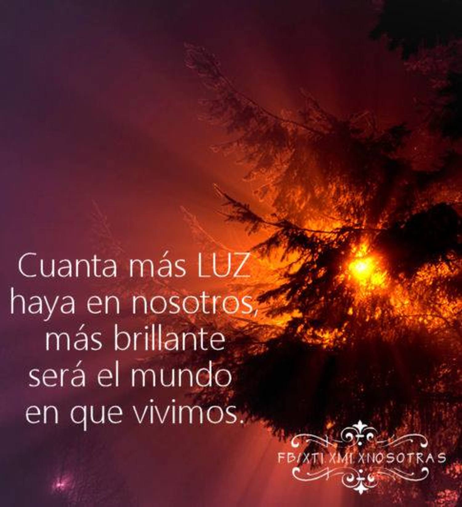 Cuanta más luz haya en nosotros, más brillante será el mundo en que vivimos