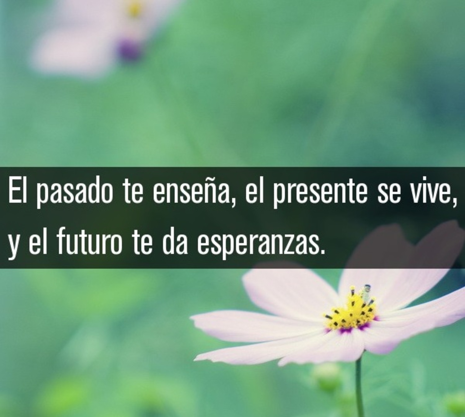 El pasado te enseña, el presente se vive, y el futuro te da ensperanza