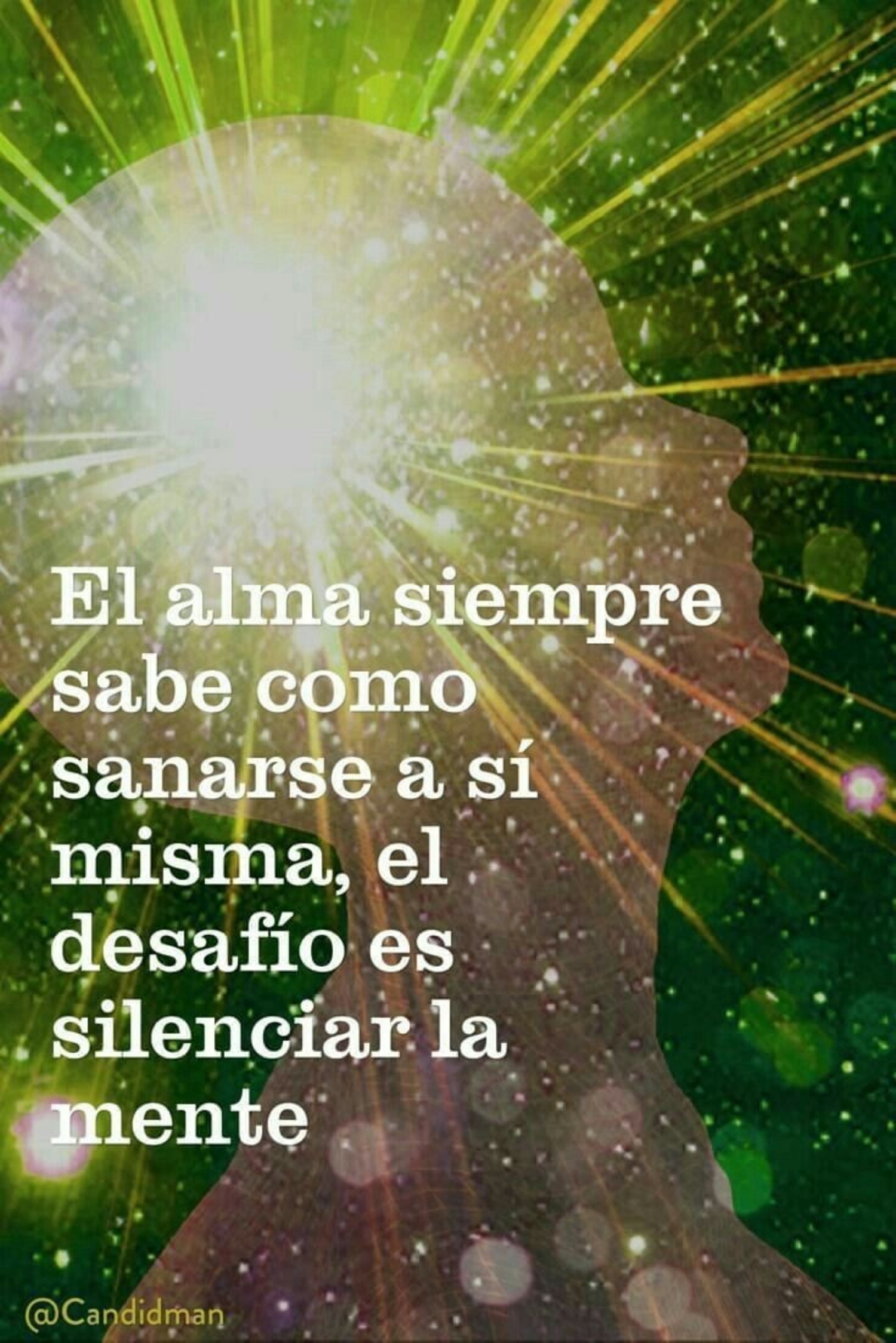 El alma siempre sabe como sanarse a si misma, el desafio es silenciar la mente