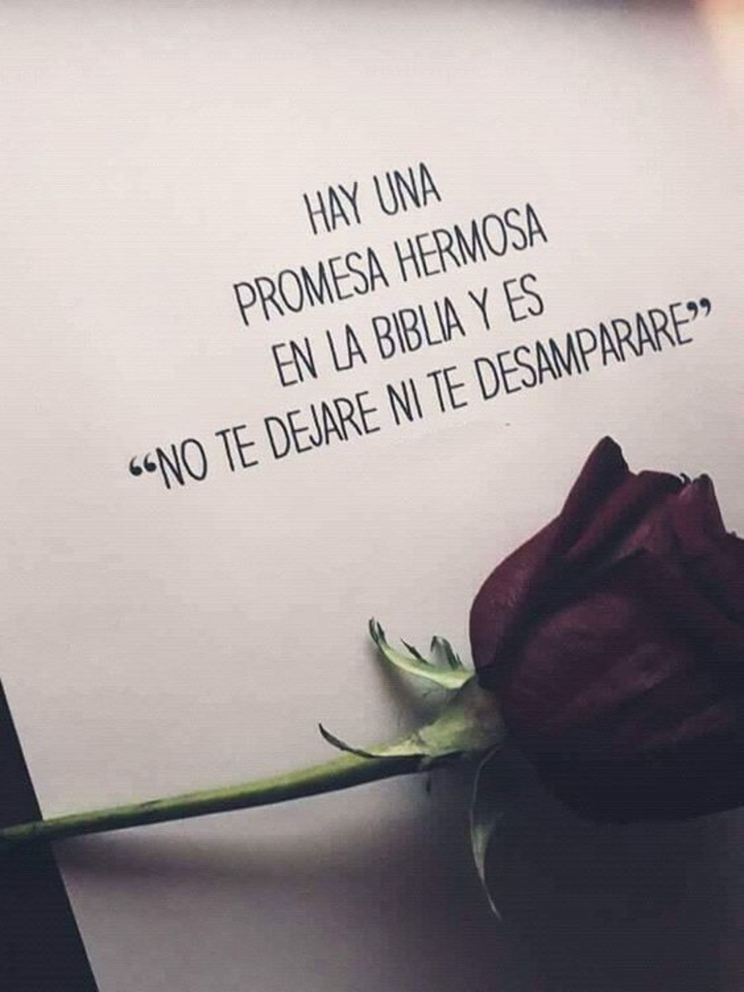 Hay una promesa hermosa en la biblia y es "no te dejare ni te desamparare"