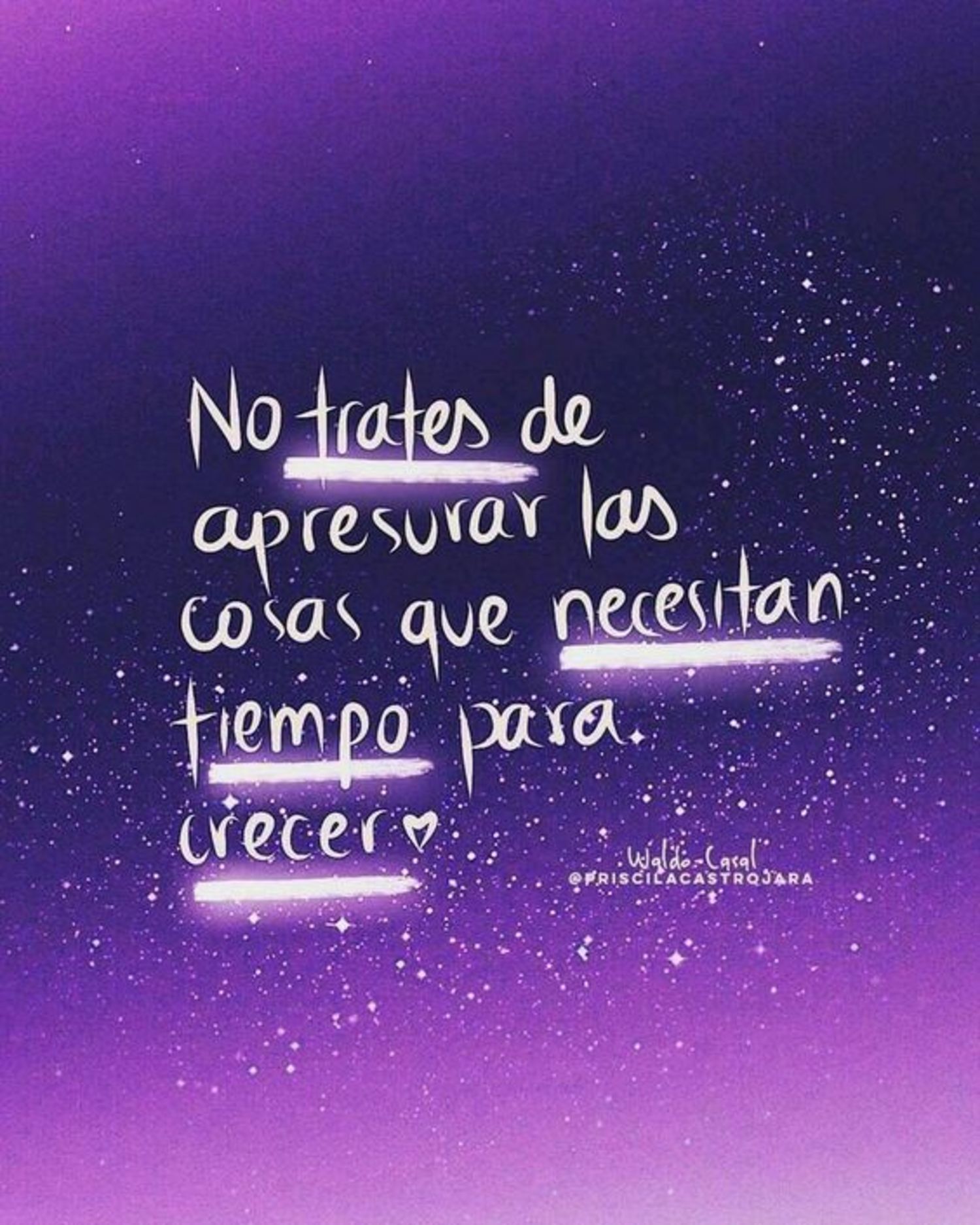 No trates de apresurar las cosas que necesitan tiempo para crecer