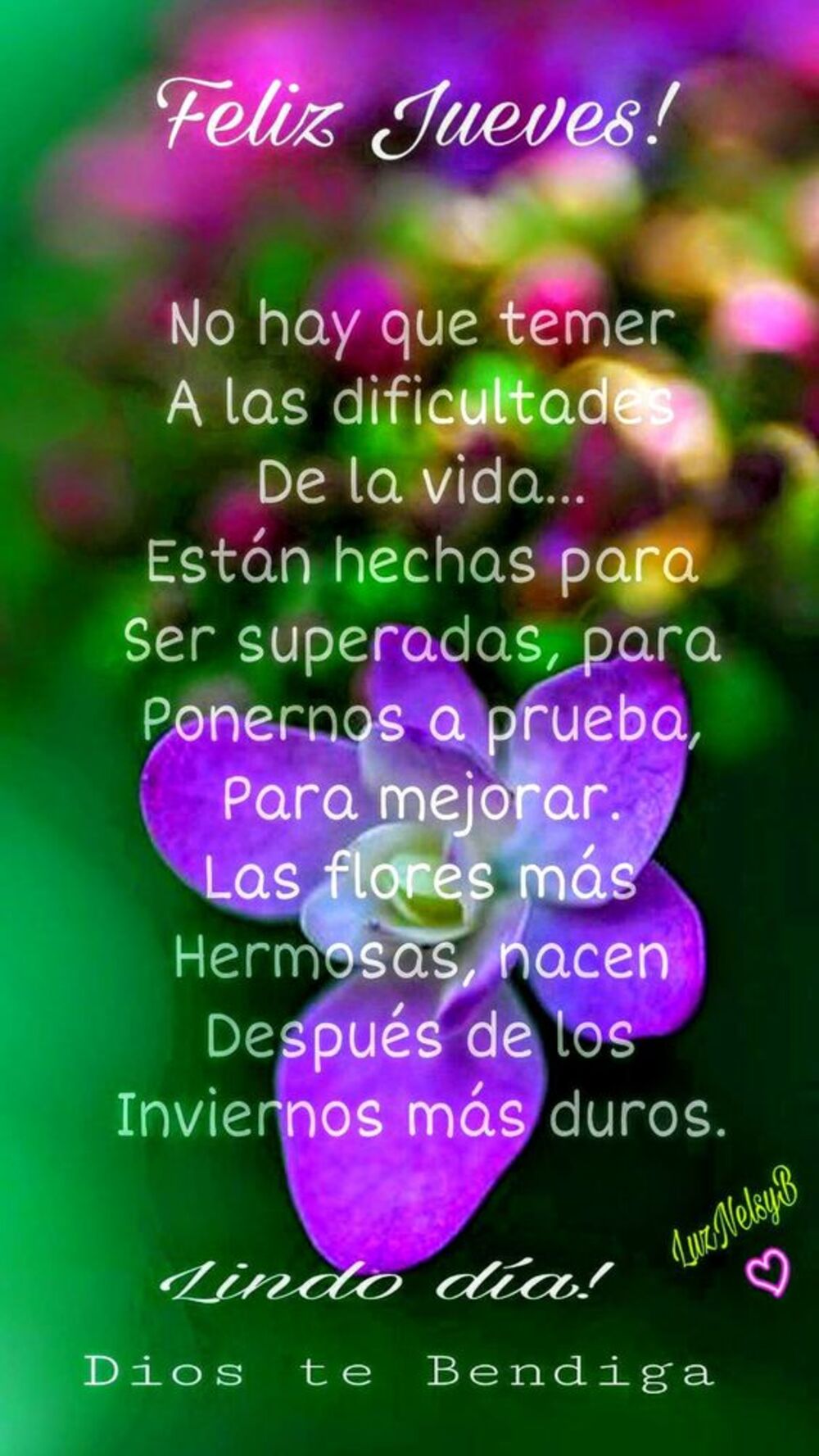 Feliz jueves con frases