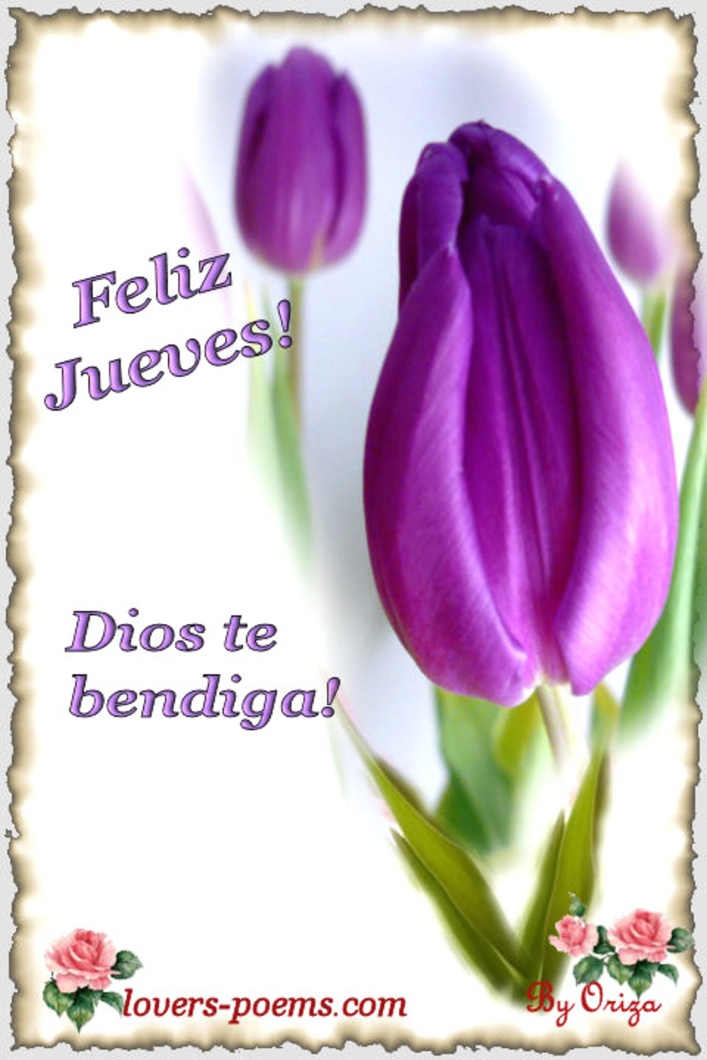 Feliz Jueves Dios te bendiga