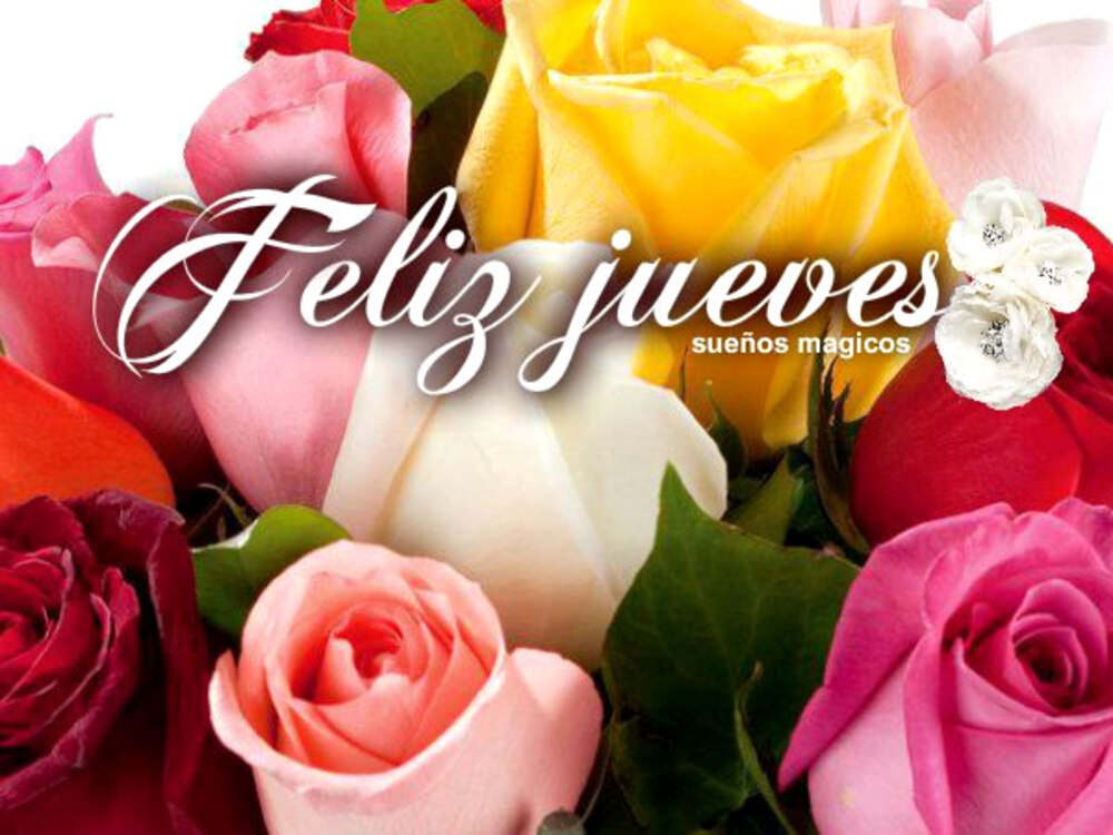 Feliz Jueves