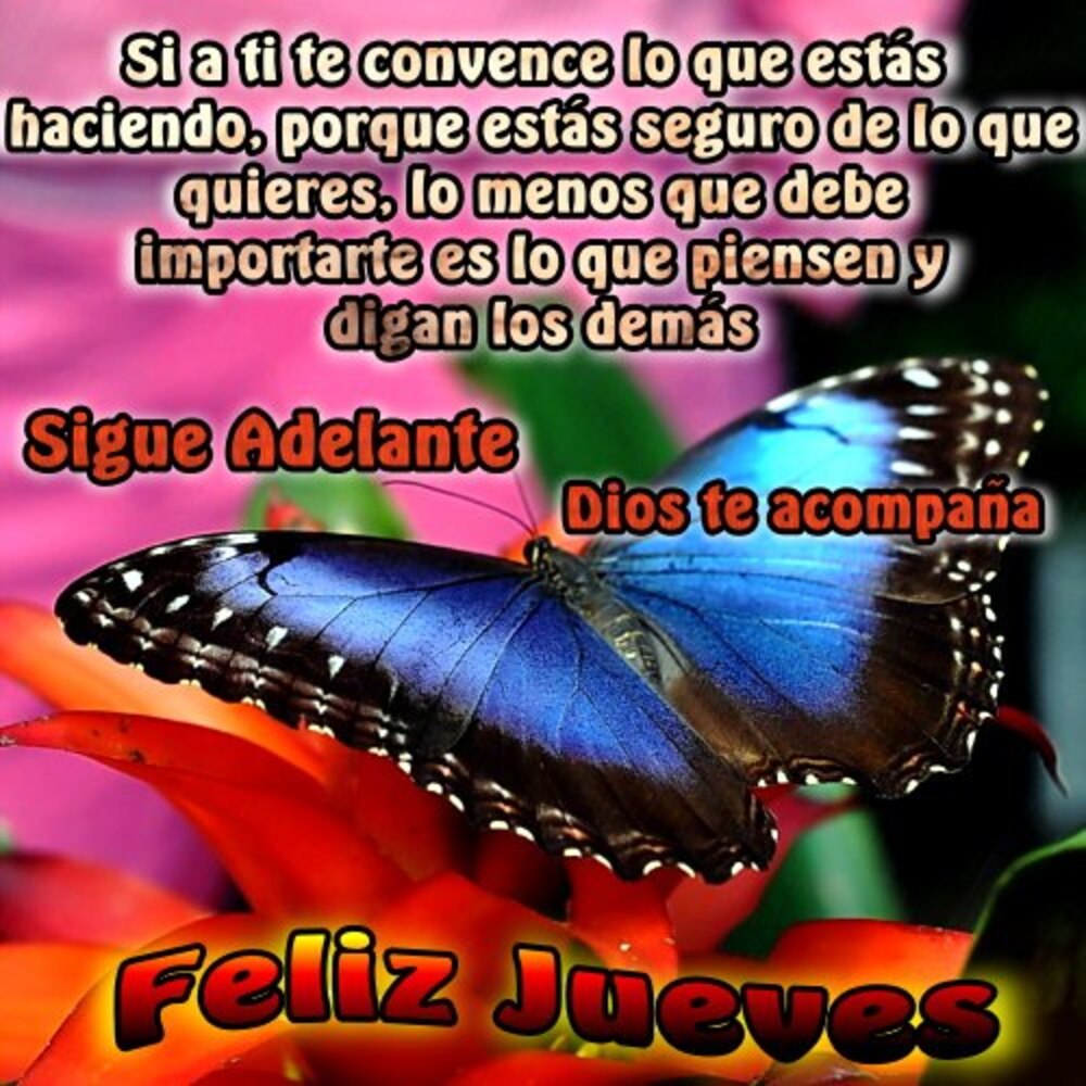 Feliz jueves hermosas imagenes