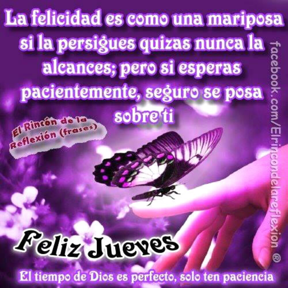 La felicidad es como una mariposa si la persigues quizás nuncala alcances; pero si esperas pacientemente, seguro se posa sobre ti! Feliz Jueves