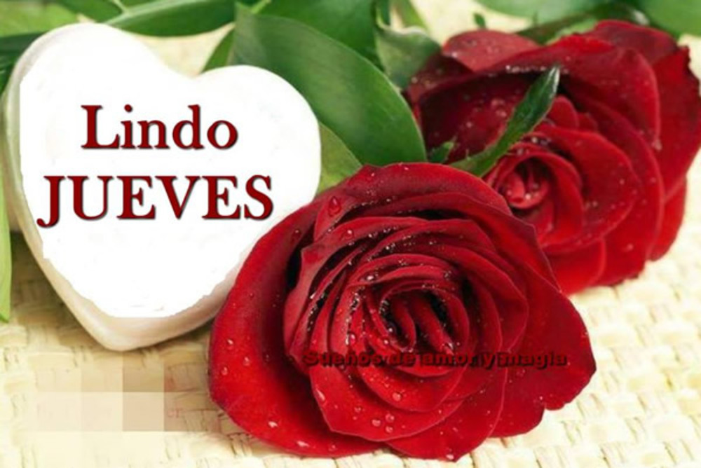 Lindo jueves