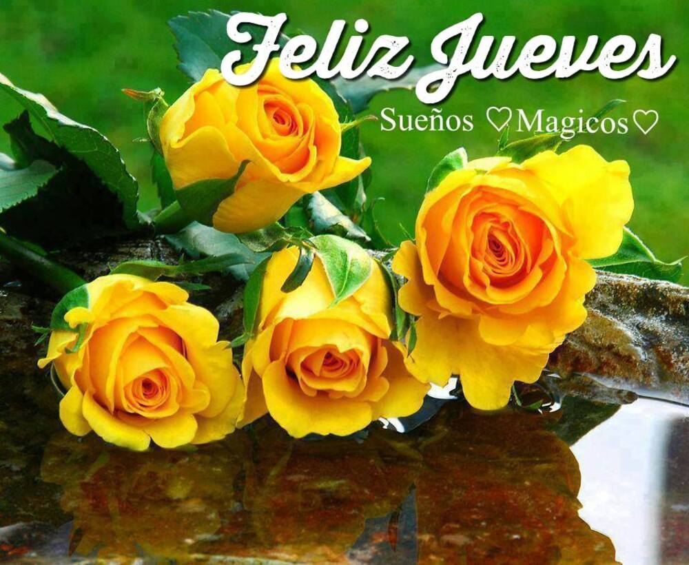 Feliz Jueves con flores