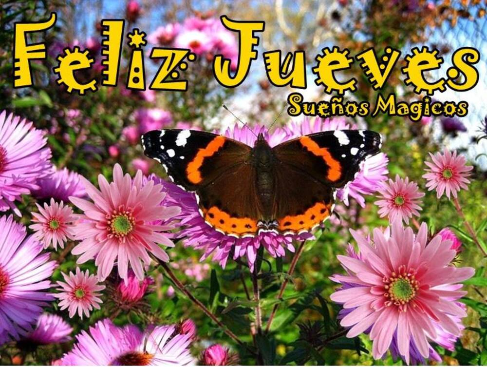 Feliz jueves