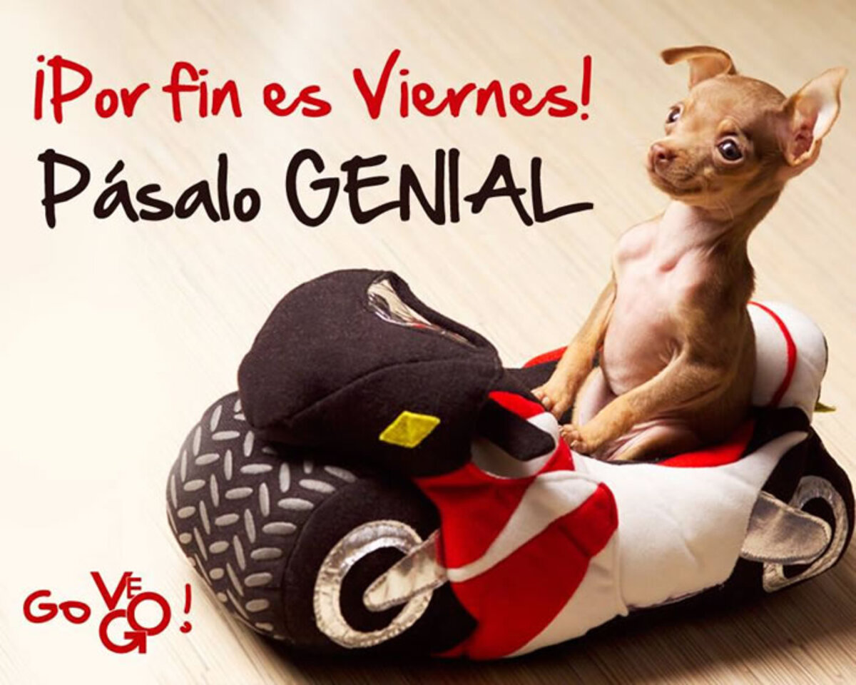 Por fin es viernes! Pasalo genial