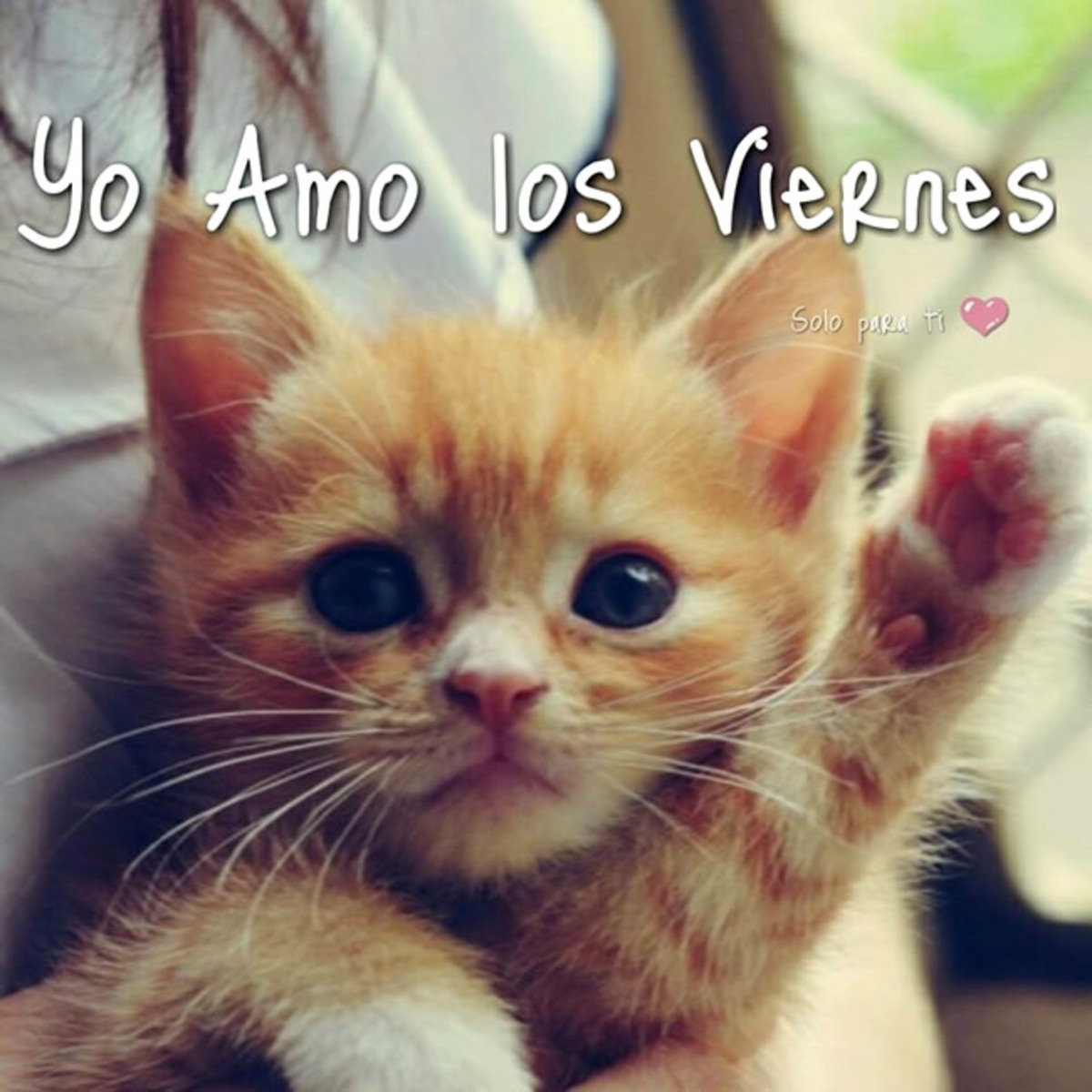 Yo amo los viernes