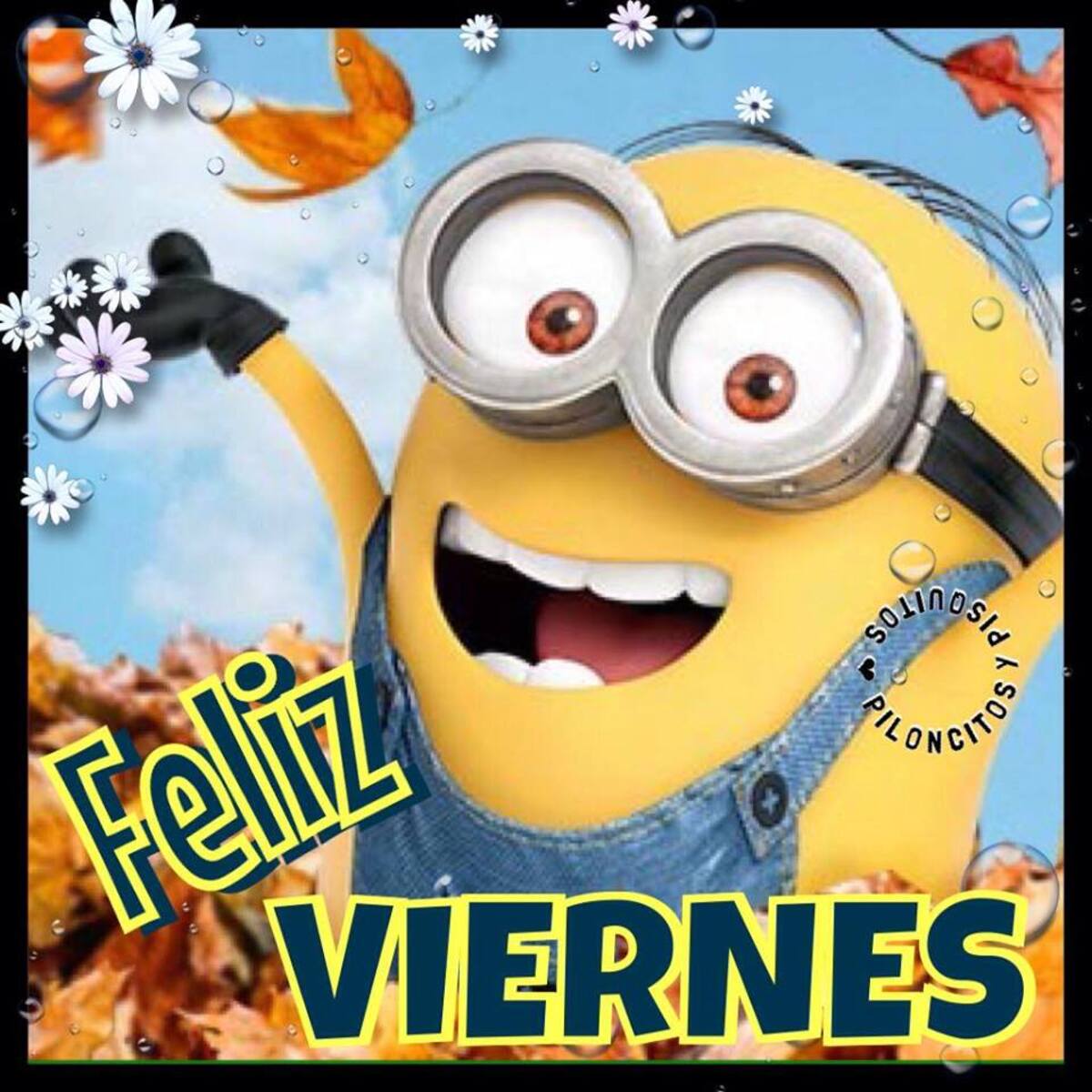 Feliz Viernes!!