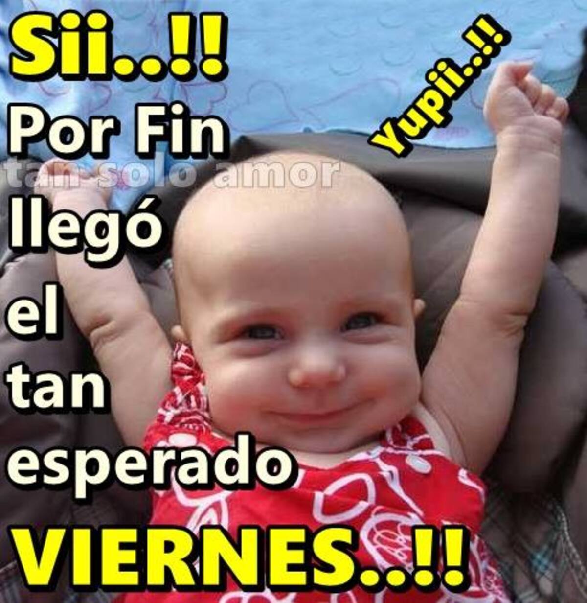 Sii..!! por fin llegò el tan esperado viernes..!!