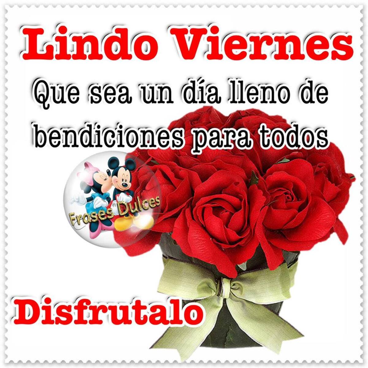 Lindo viernes que sea un dia lleno de bendiciones para todos! Disfrutalo