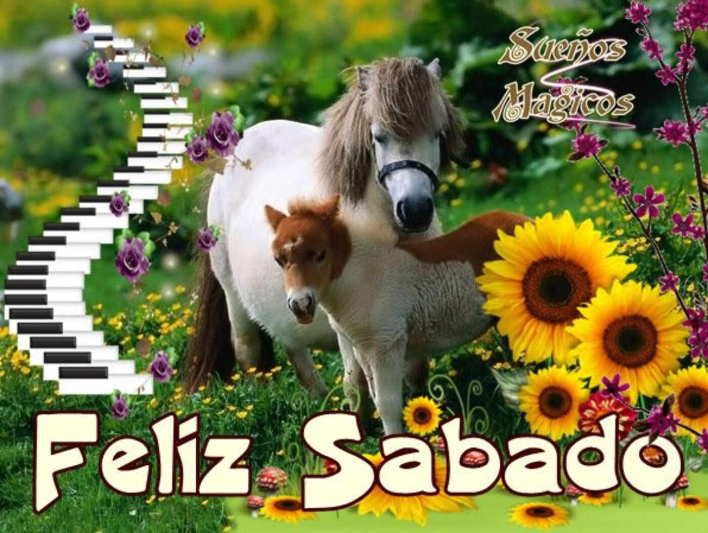 Feliz sábado