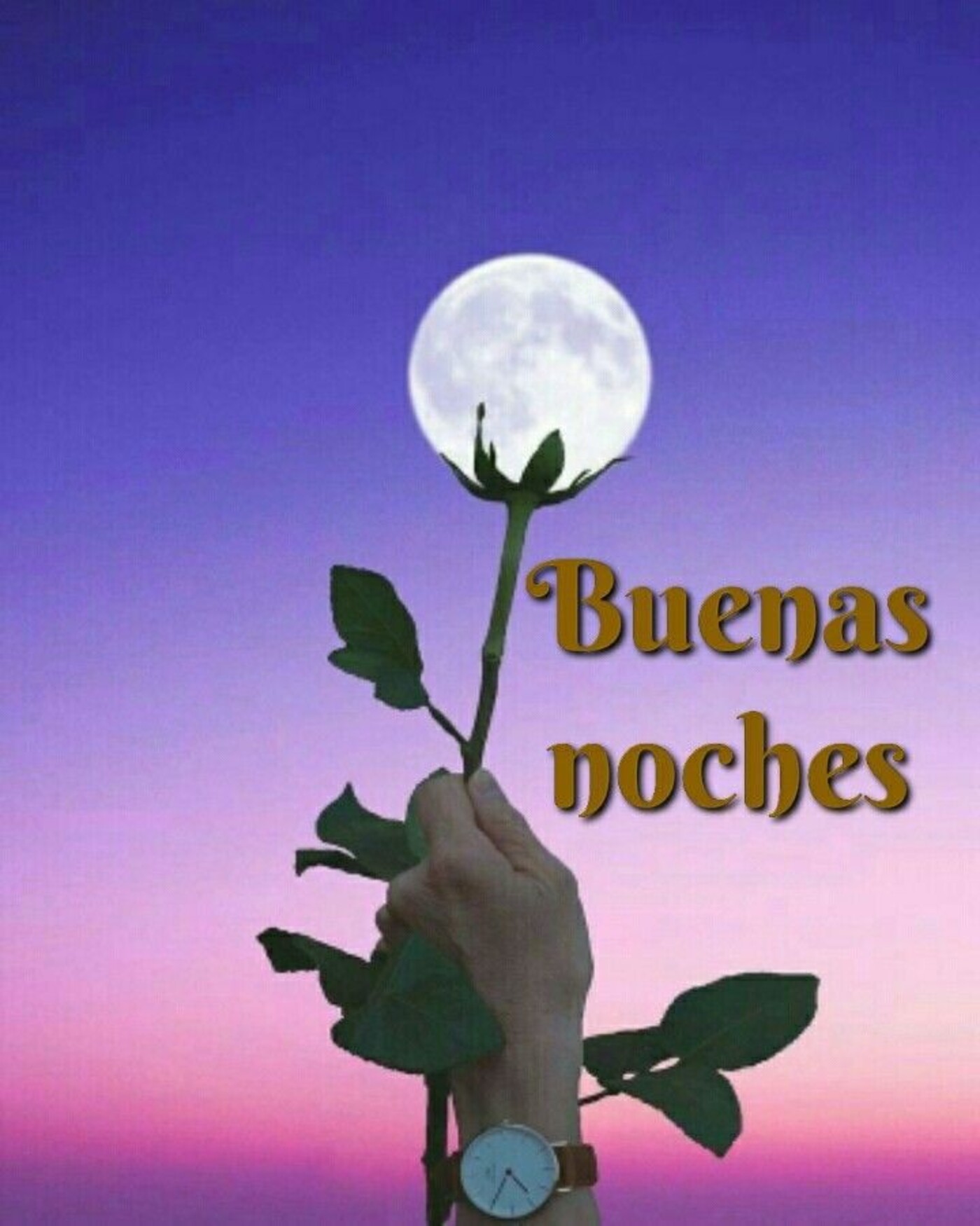 Emojis De Buenas Noches Gif 37 - zhyw76t