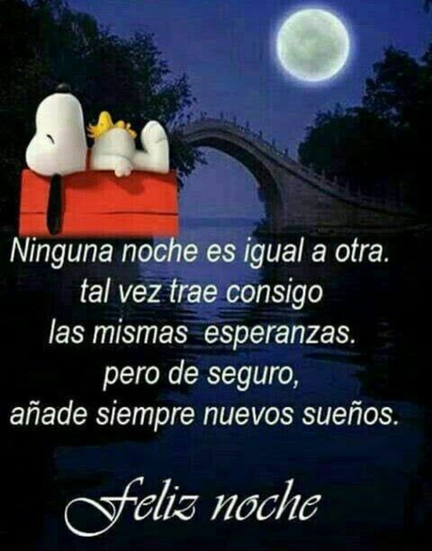 Feliz Noche con frase