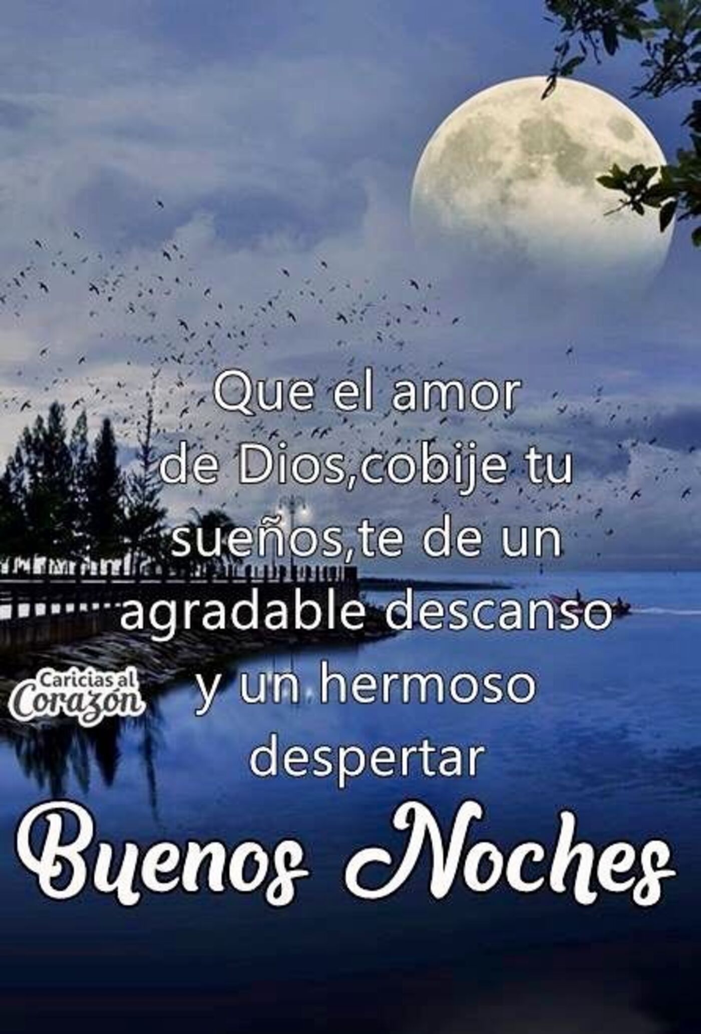 Que el amor de Dios, cobije tus sueños, te de un agradable descanso y un hermoso despertar....Buenas Noches