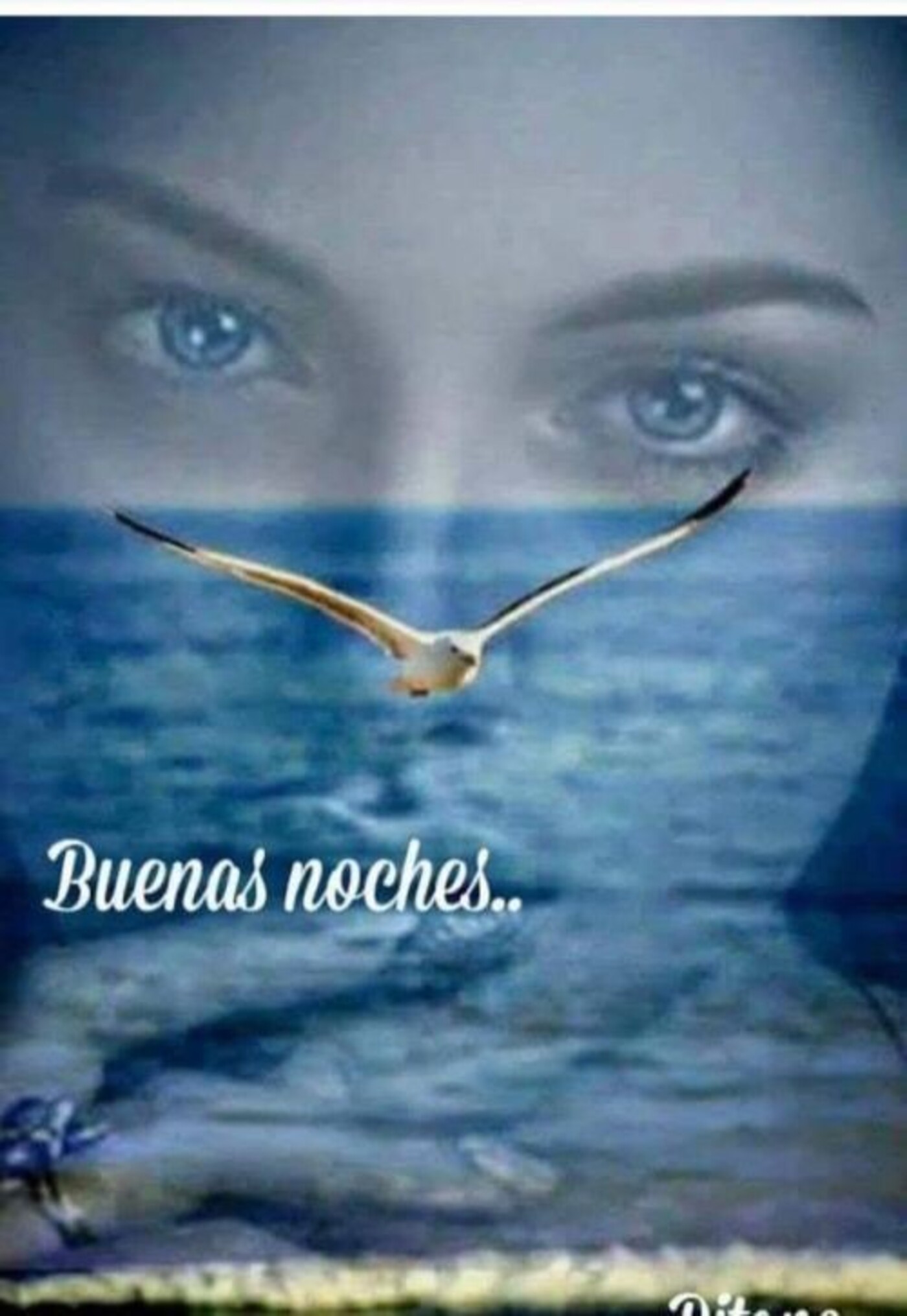 Buenas noches