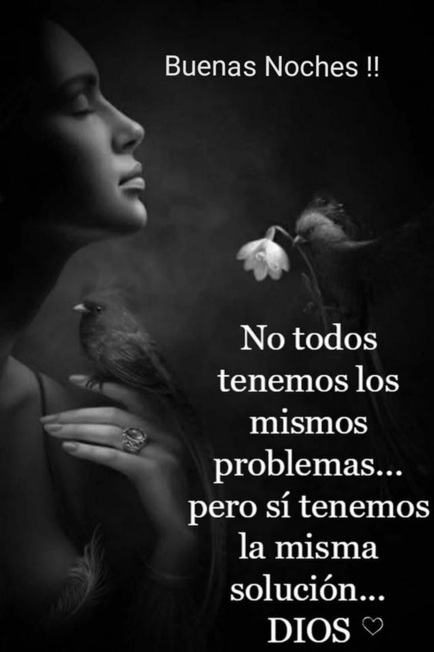 Buenas noches!! No todos tenemos los mismos problemas...pero si tenemos la misma solución...Dios