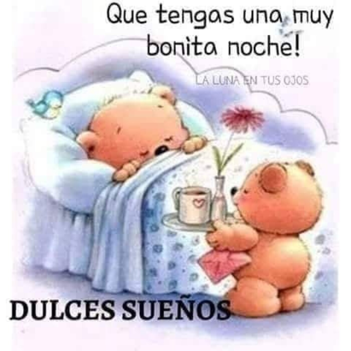 Que tengas una muy bonita noche...Dulces sueños!!