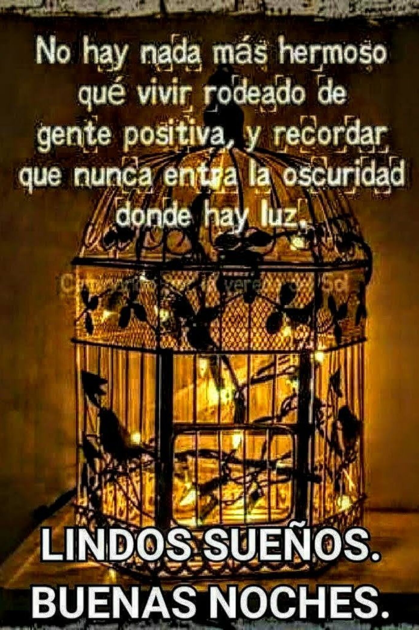 No hay nada más hermoso que vivir rodeado de gente positiva, y recordar que nunca entra la oscuridad donde hay luz. Lindo Sueños. Buenas Noches