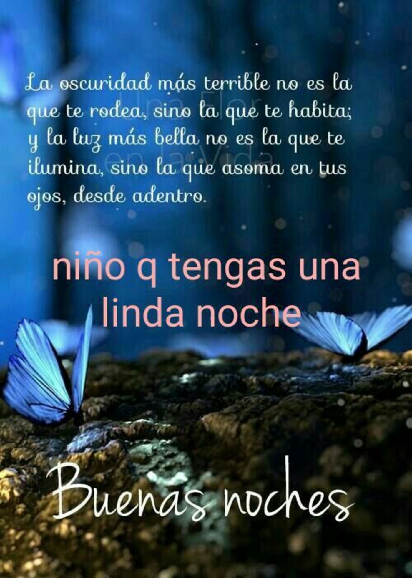 La oscuridad más terrible no es la que te rodea, sino la que te habita; y la luz más bella no es la que te ilumina, sino la que asoma en tus ojos, desde adentro. Niño que tengas una linda noche...Buenas noches