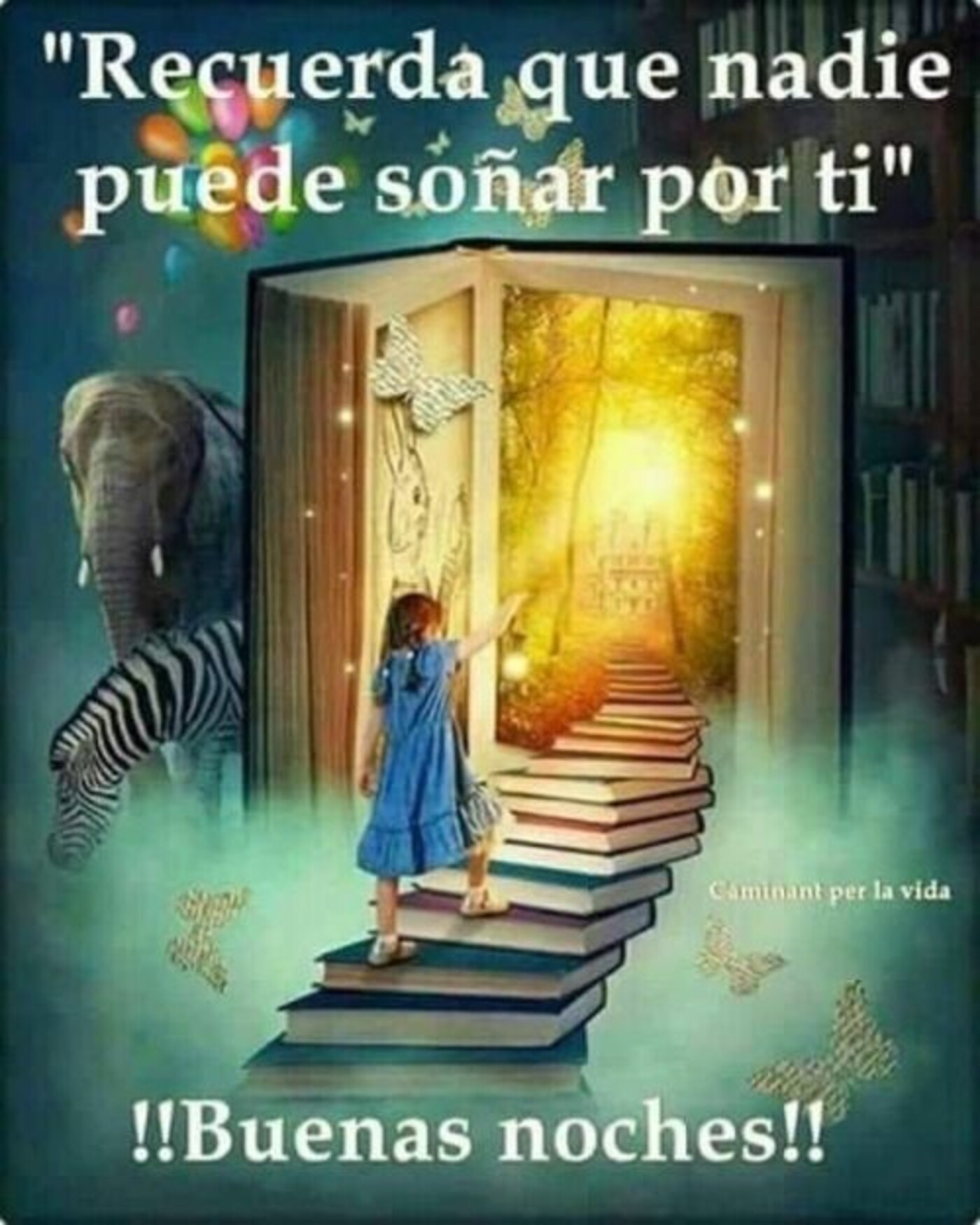 "Recuerda que nadie puede soñar por ti" Buenas Noches!!