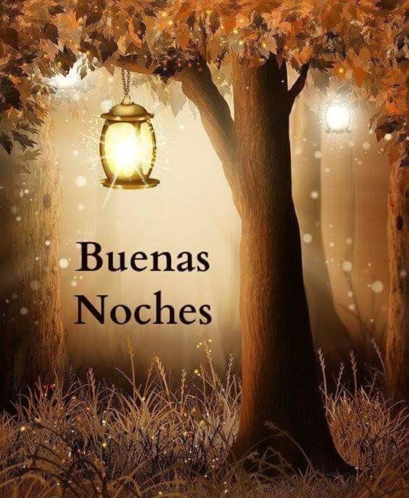 Buenas noches