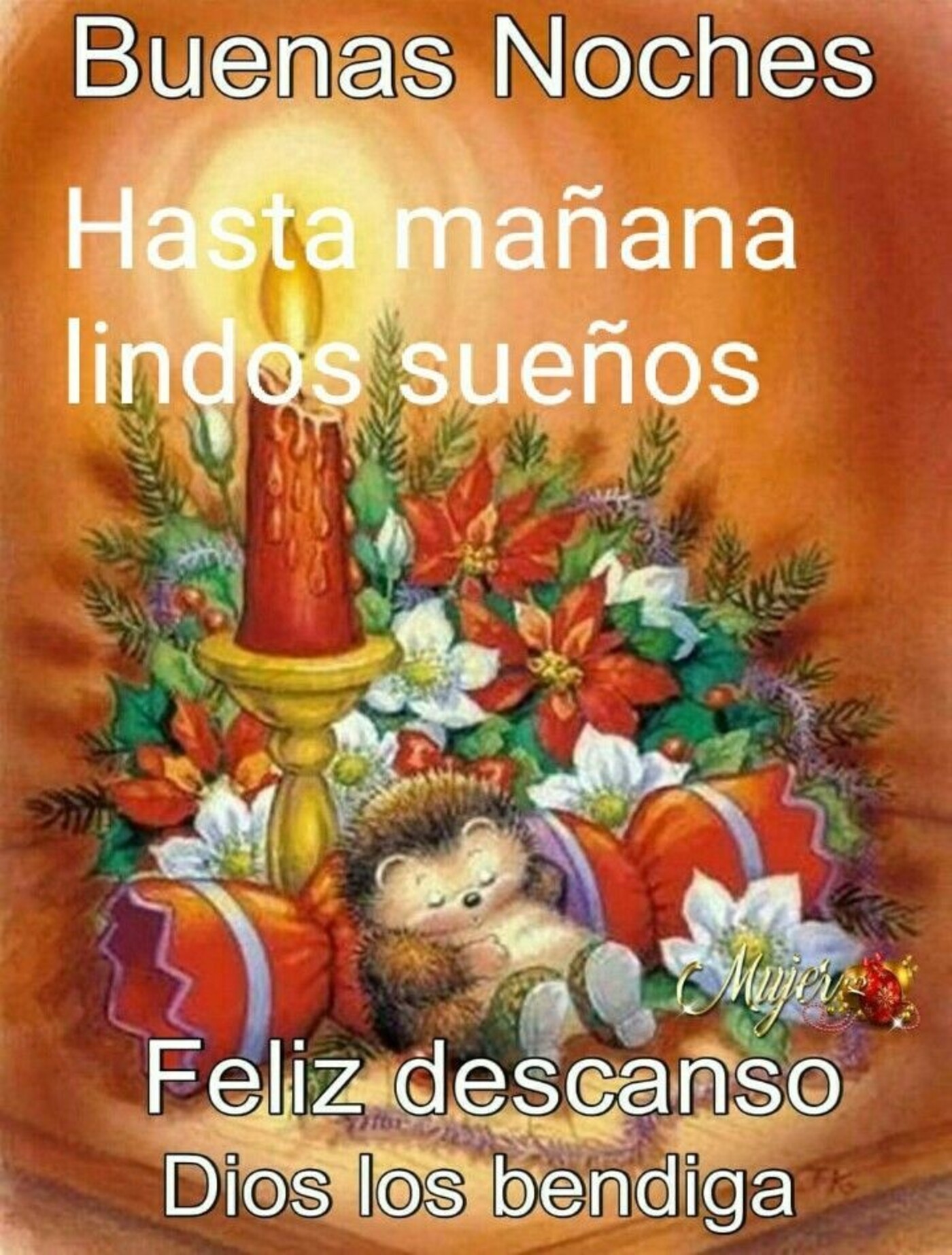 Buenas Noches hasta mañana, lindo sueños...feliz descanso Dios los bendiga