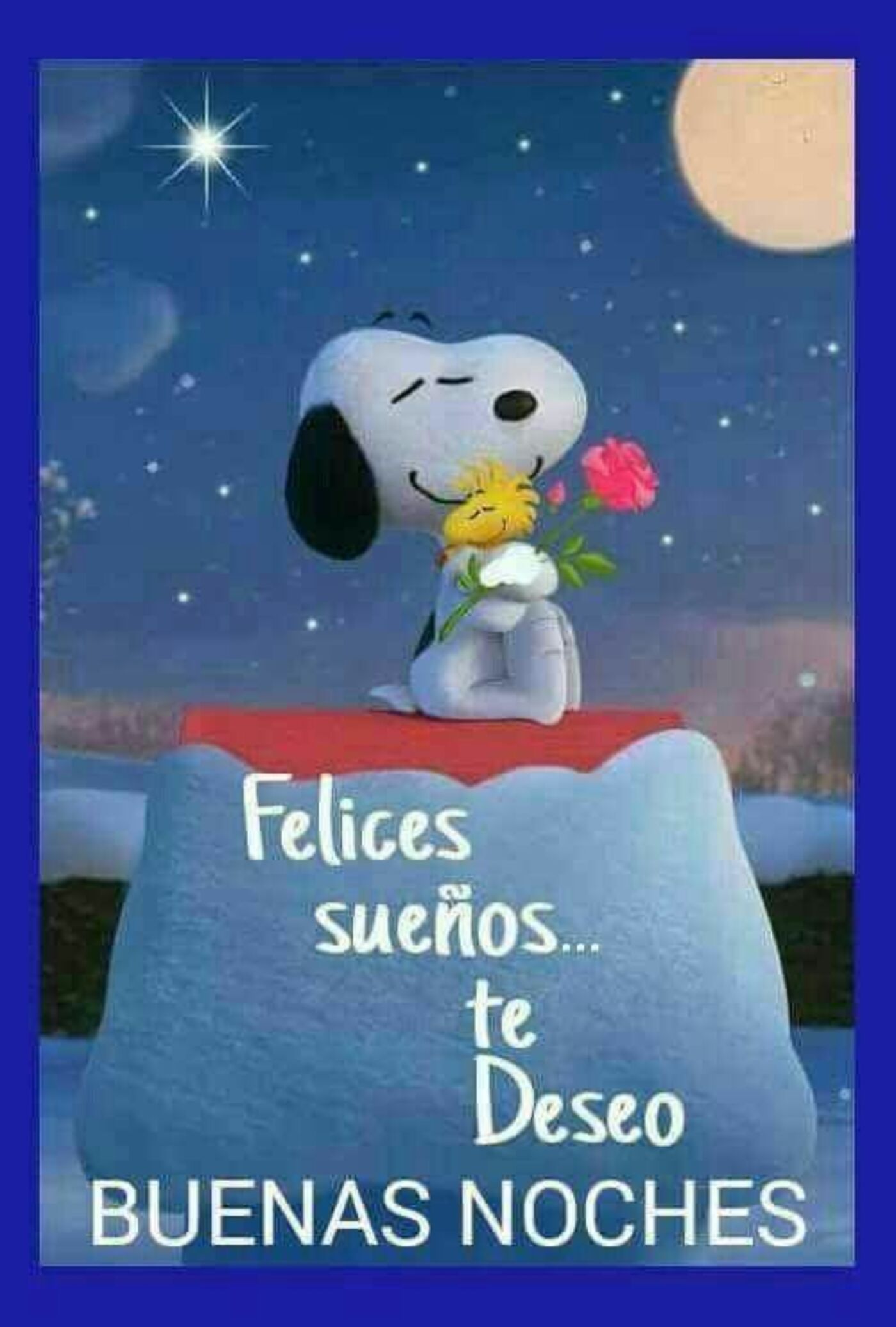 Felices sueños...te deseo buenas noches