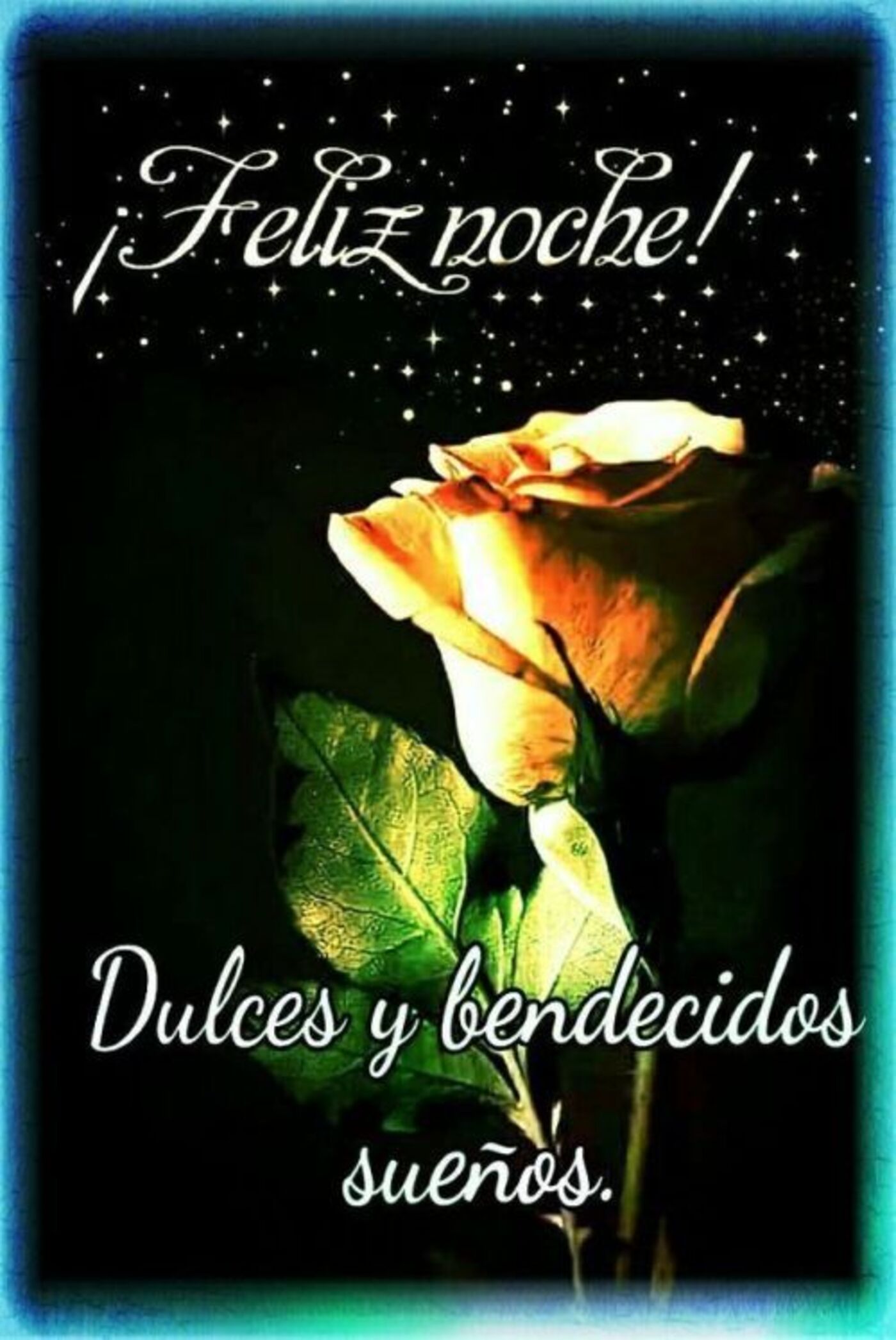 Feliz noche! Dulces y bendecidos sueños