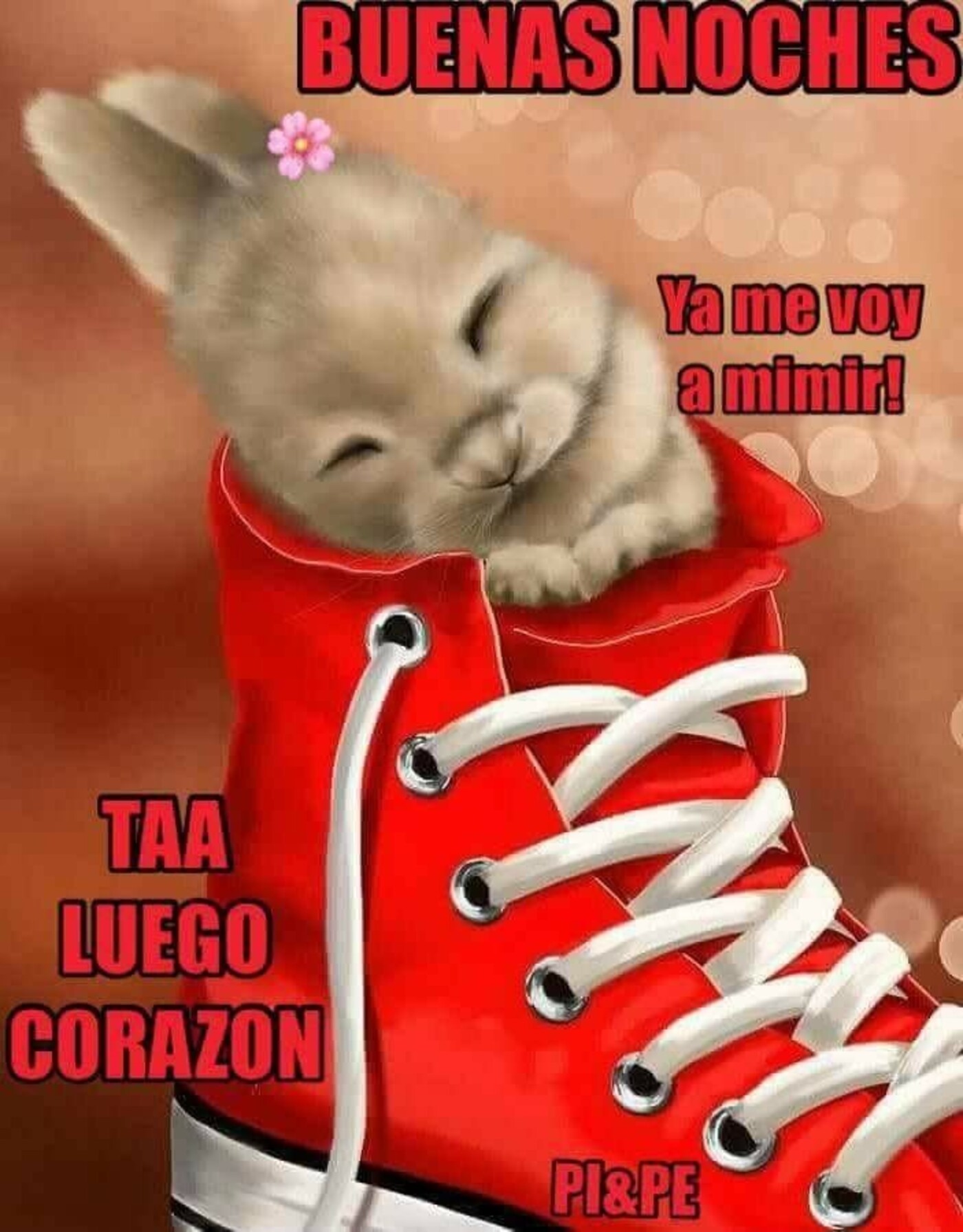 Buenas Noches ya me voy a mimir! Taa luego corazón 