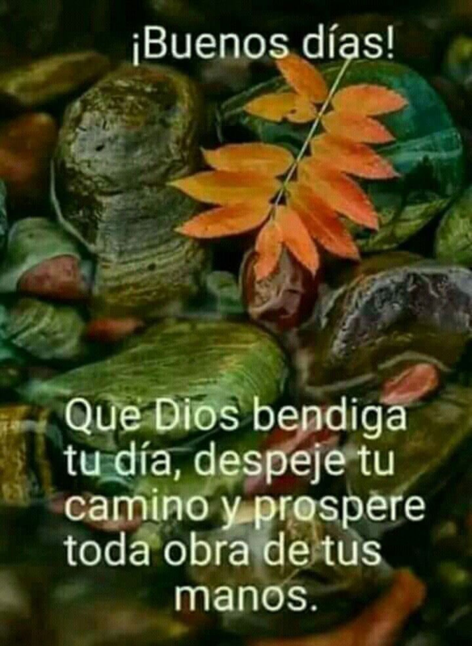 Buenos días que Dios bendiga tu día, despeje tu camino y prospere toda obra de tus manos