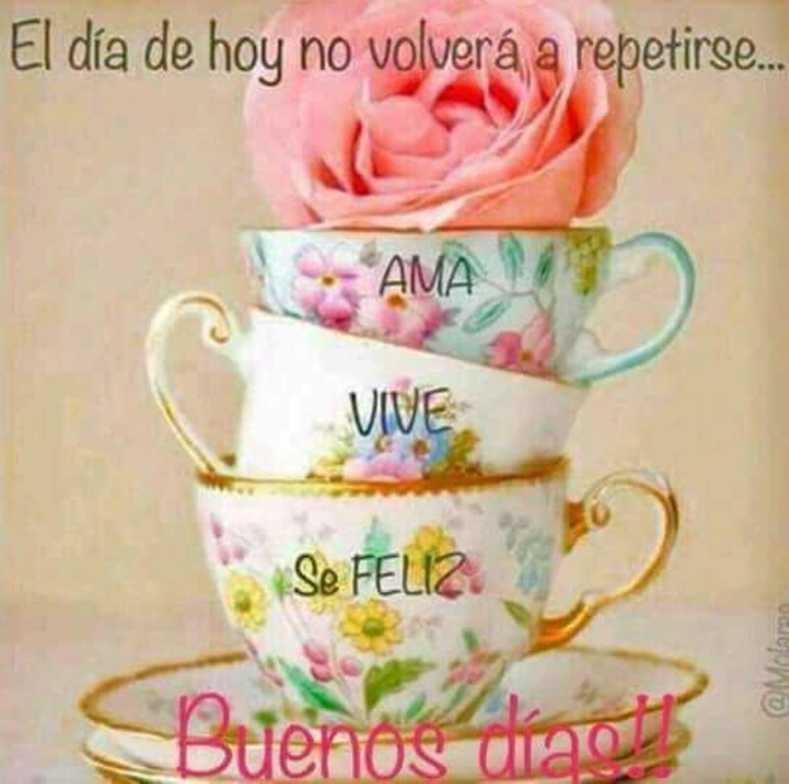 El día de hoy no volvera a repetirse...ama, vive, se feliz....Buenos días