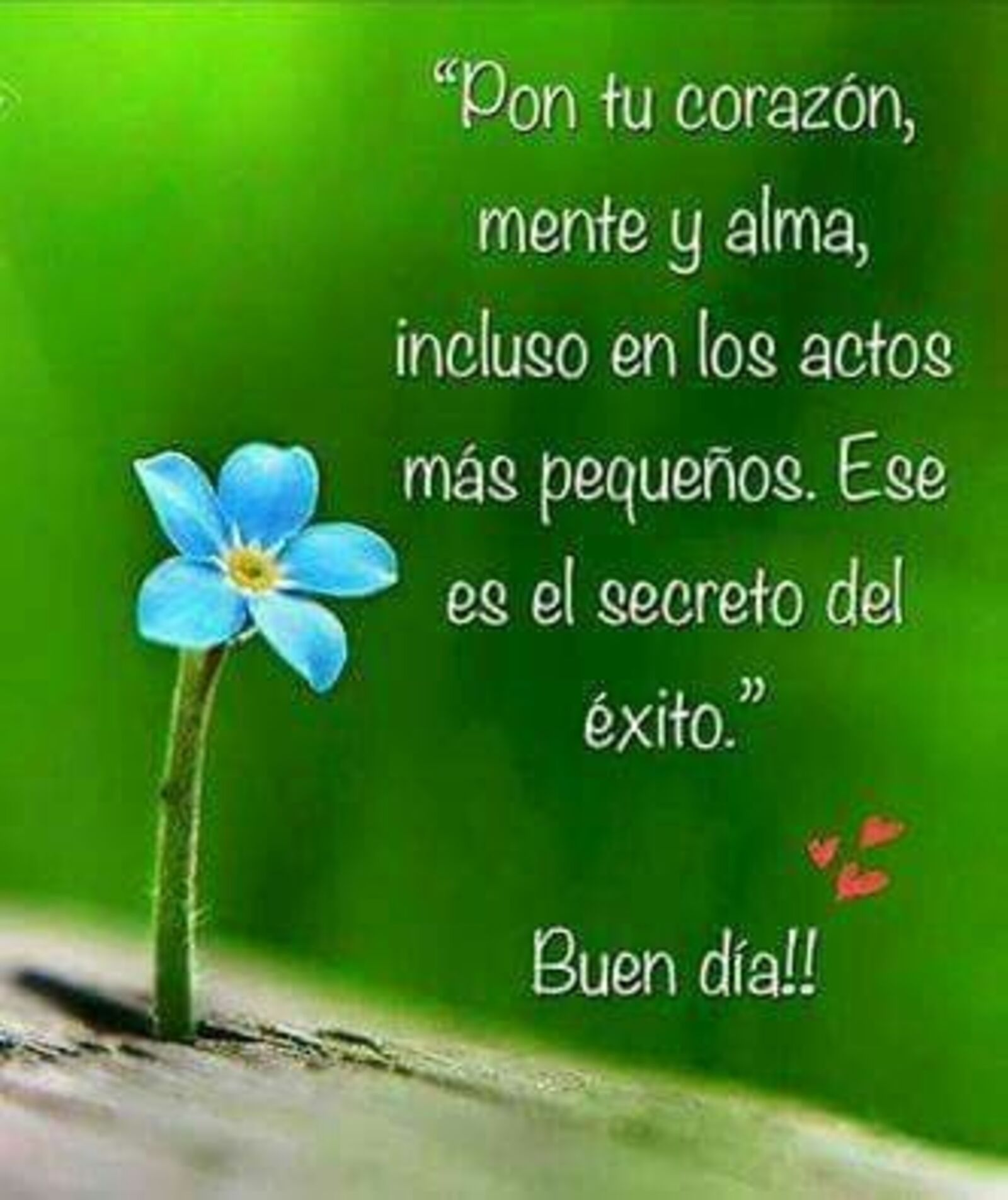 "Pon tu corazón, mente y alma, incluso en los actos más pequeños. Ese es el secreto del éxito." Buen dia