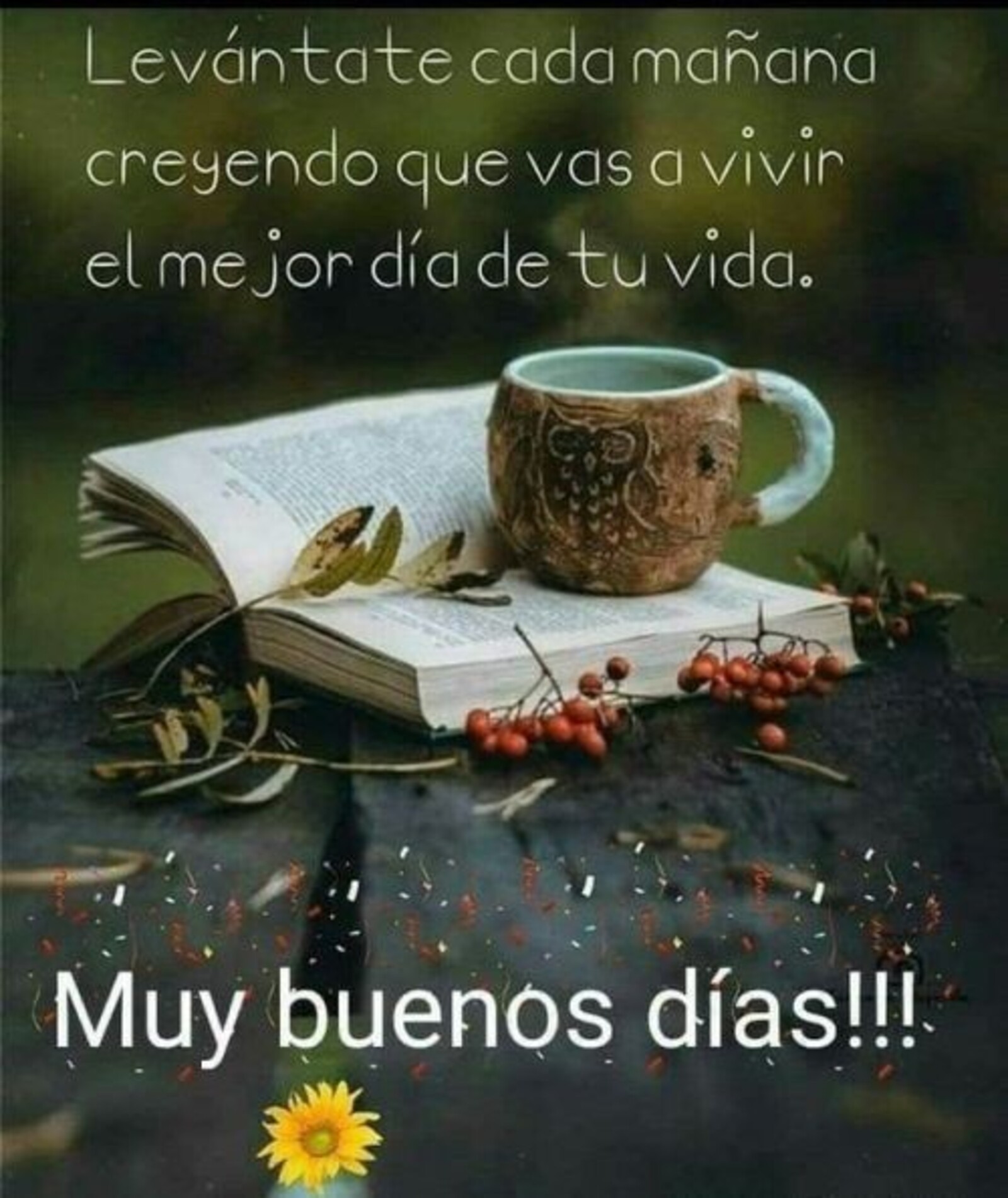 Levantate cada mañana creyendo que vas a vivir el mejor dia de tu vida. Muy buenos dias!!