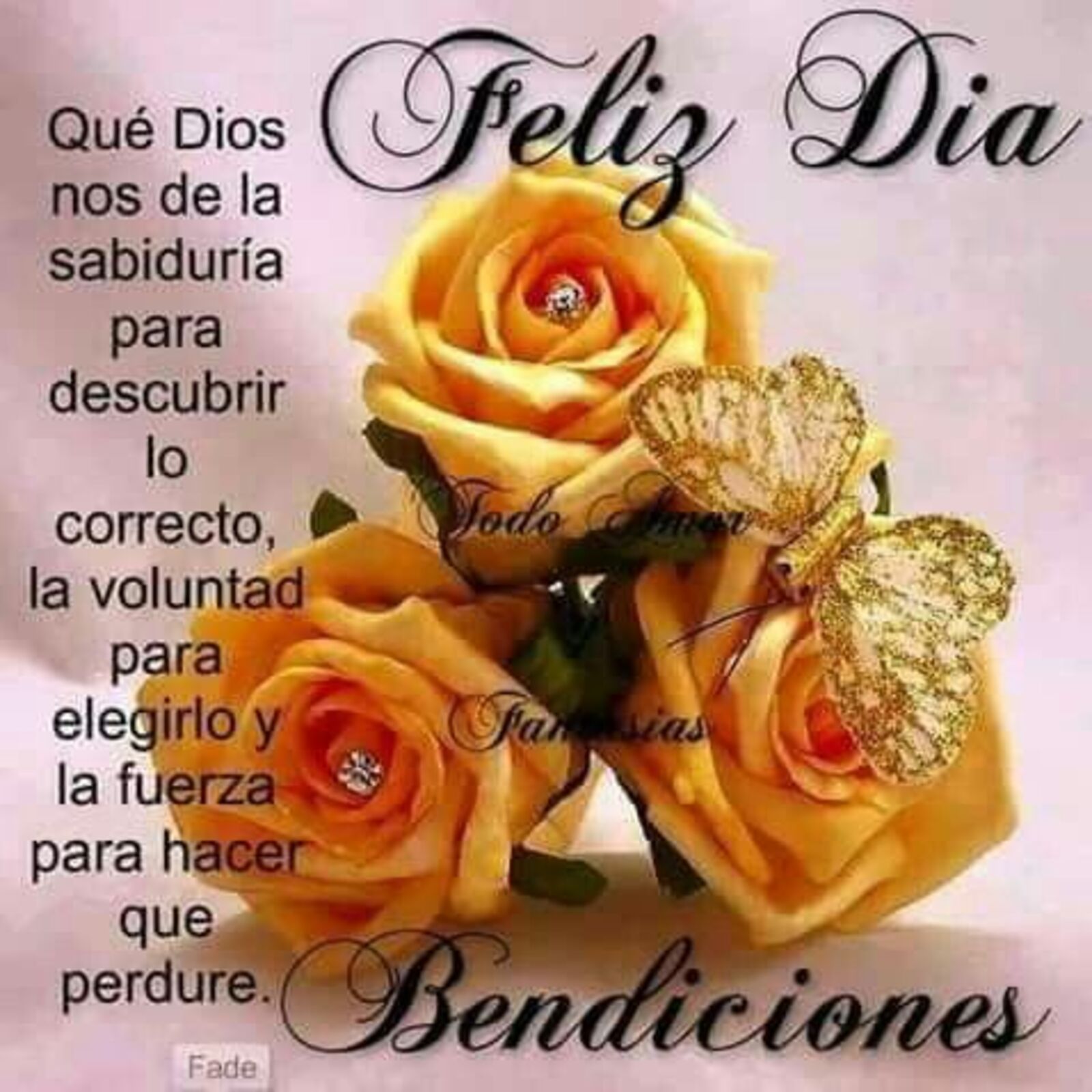 Feliz día que Dios nos de la sabiduria para descubrir lo correcto, la voluntad para elegirlo y la fuerza para hacer que perdure. Bendiciones