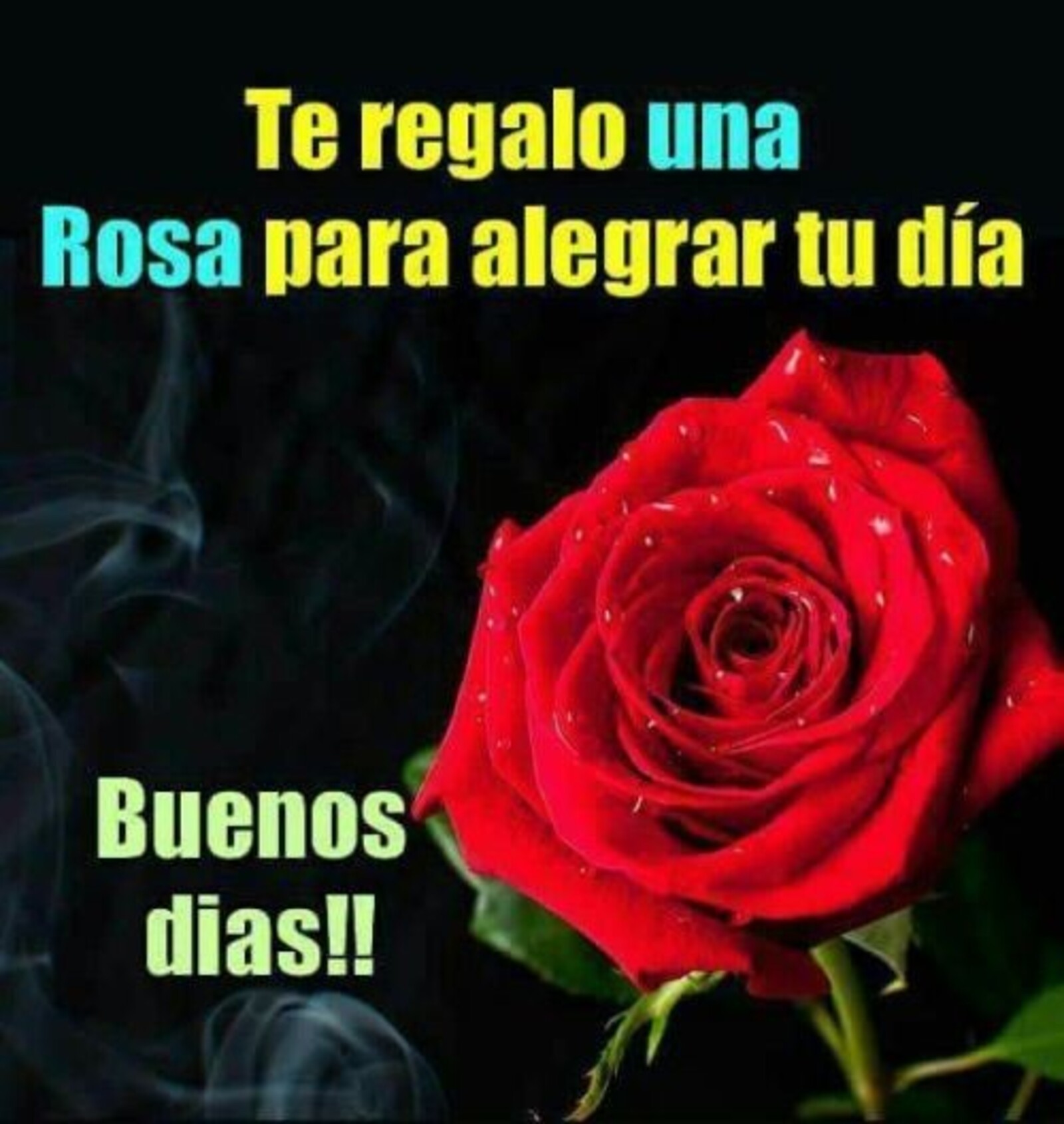 Te regalo una rosa para alegrar tu día! Buenos días!