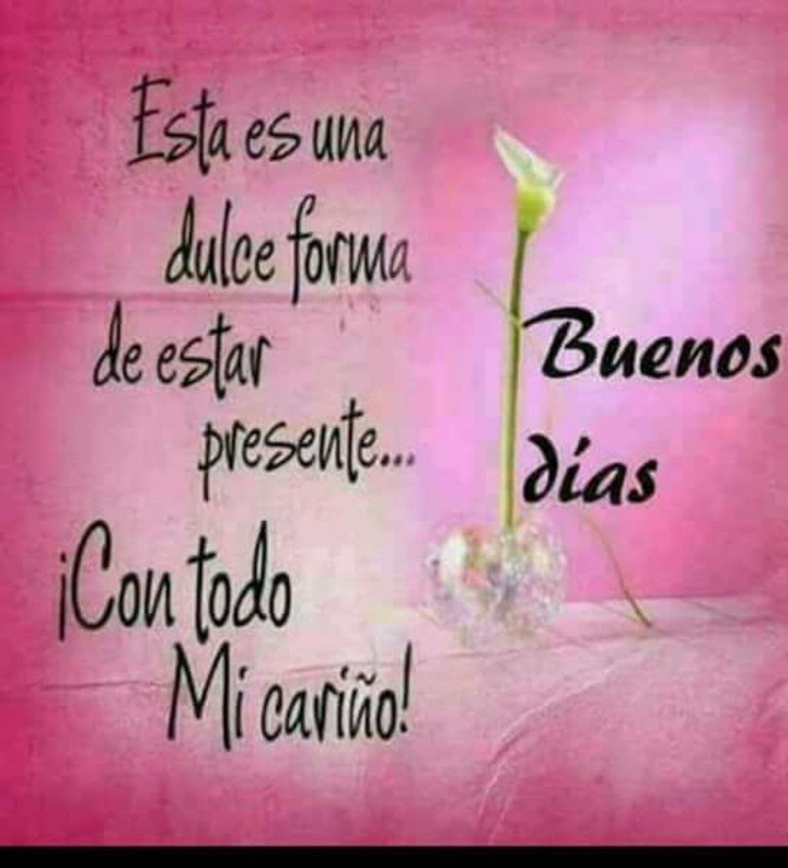 Esta es una dulce forma de estar presente...con todo mi cariño! Buenos días