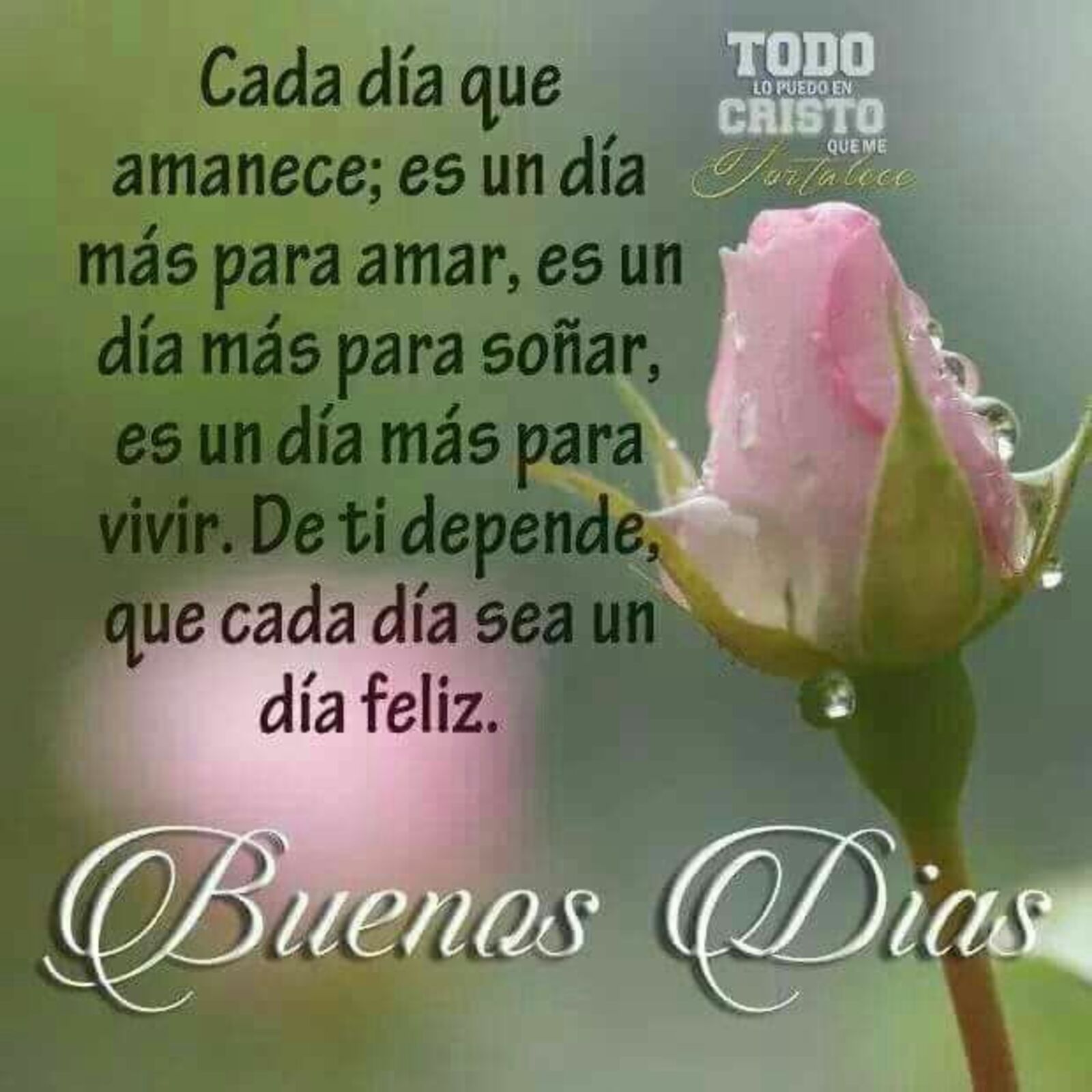 buenos día con linda frase