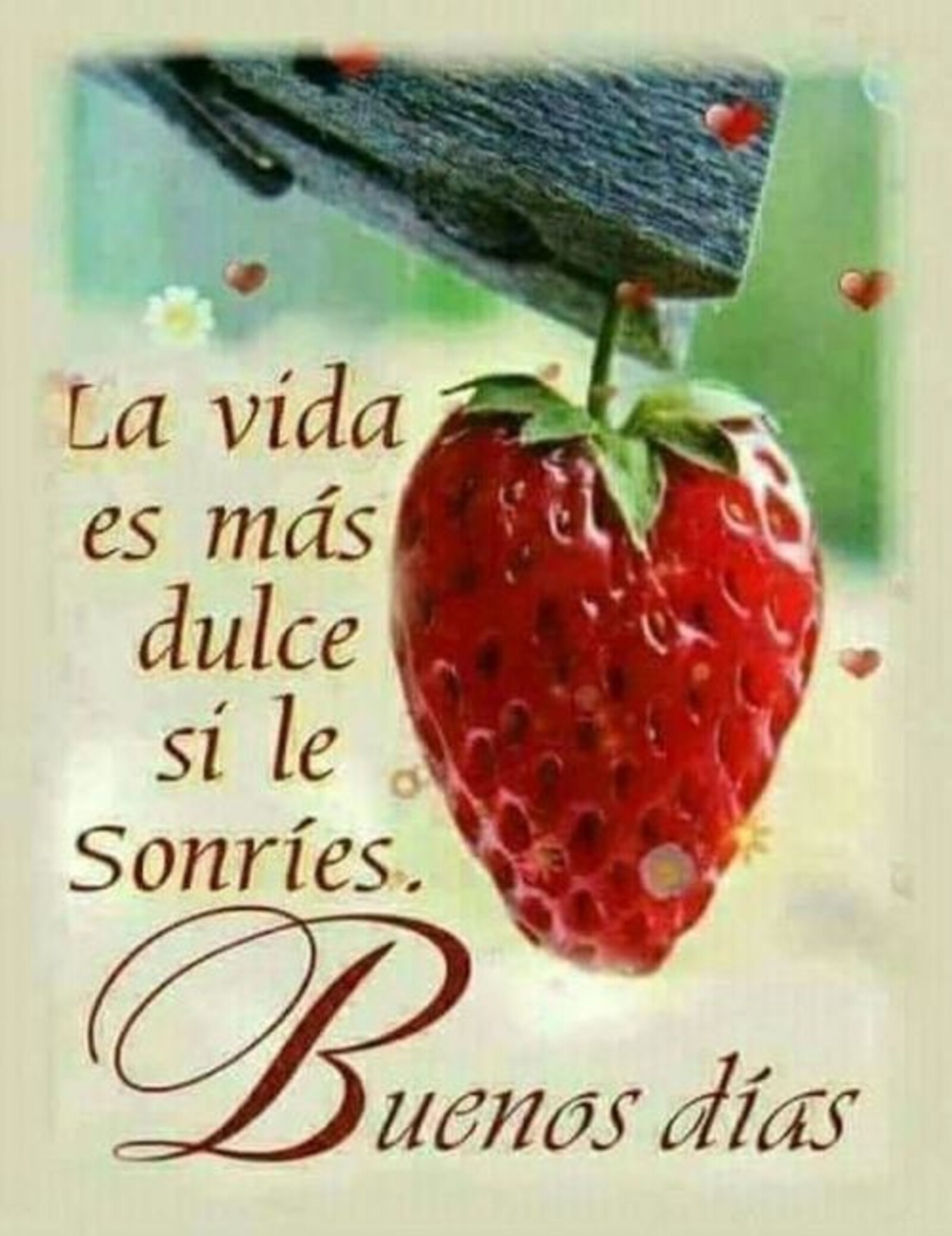 la vida es más dulce si le sonríes. Buenos días