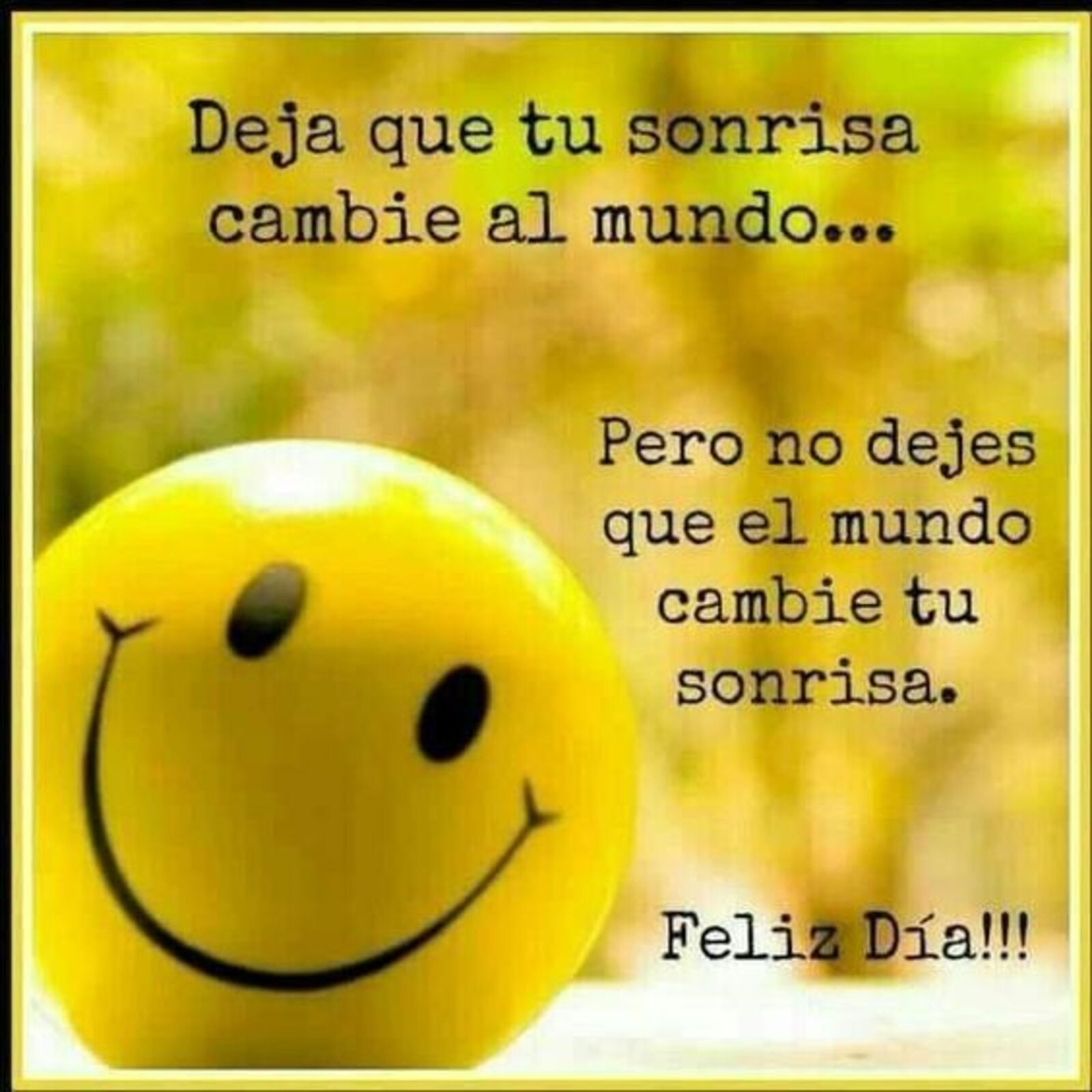 Deja que tu sonrisa cambie el mundo...pero no dejes que el mundo cambie tu sonrisa. Feliz día