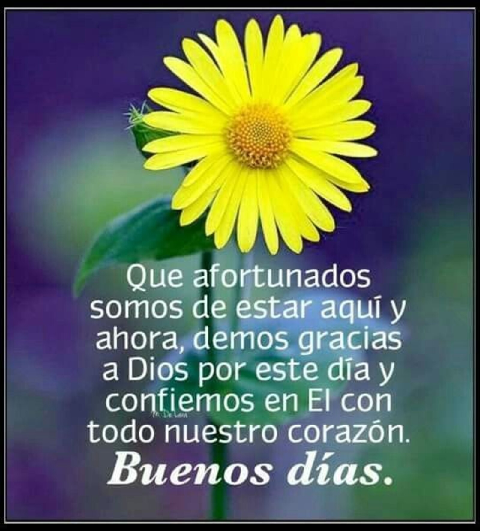 Que afortunados somos de estar aquí y ahora, demos gracias a Dios por este día y confiemos en El con todo nuestro corazón. Buenos días