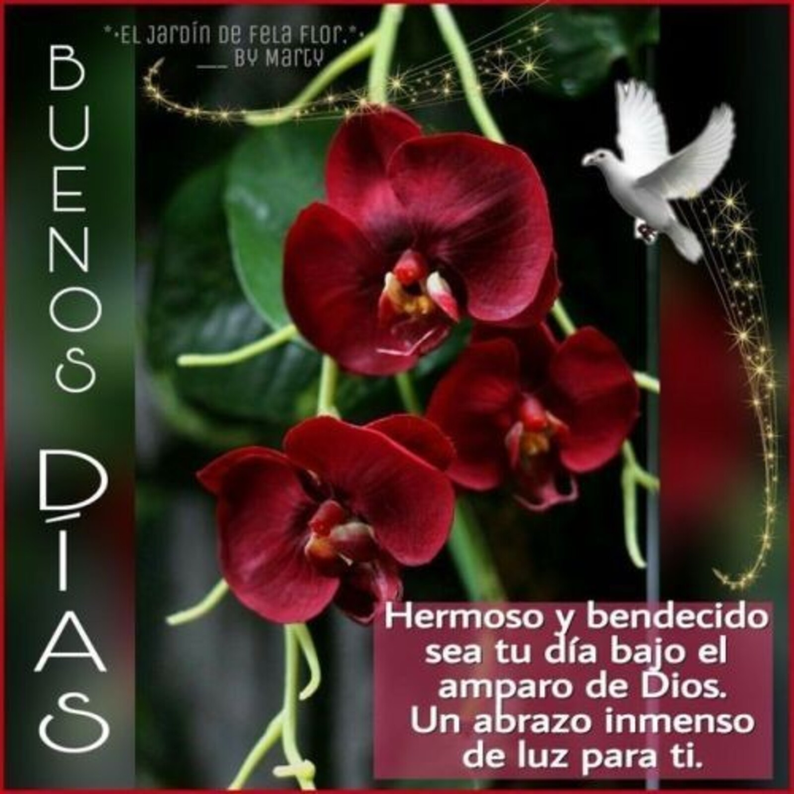 Hermoso y bendecido sea tu día bajo el amparo de Dios. Un abrazo inmenso de luz para ti. Buenos días