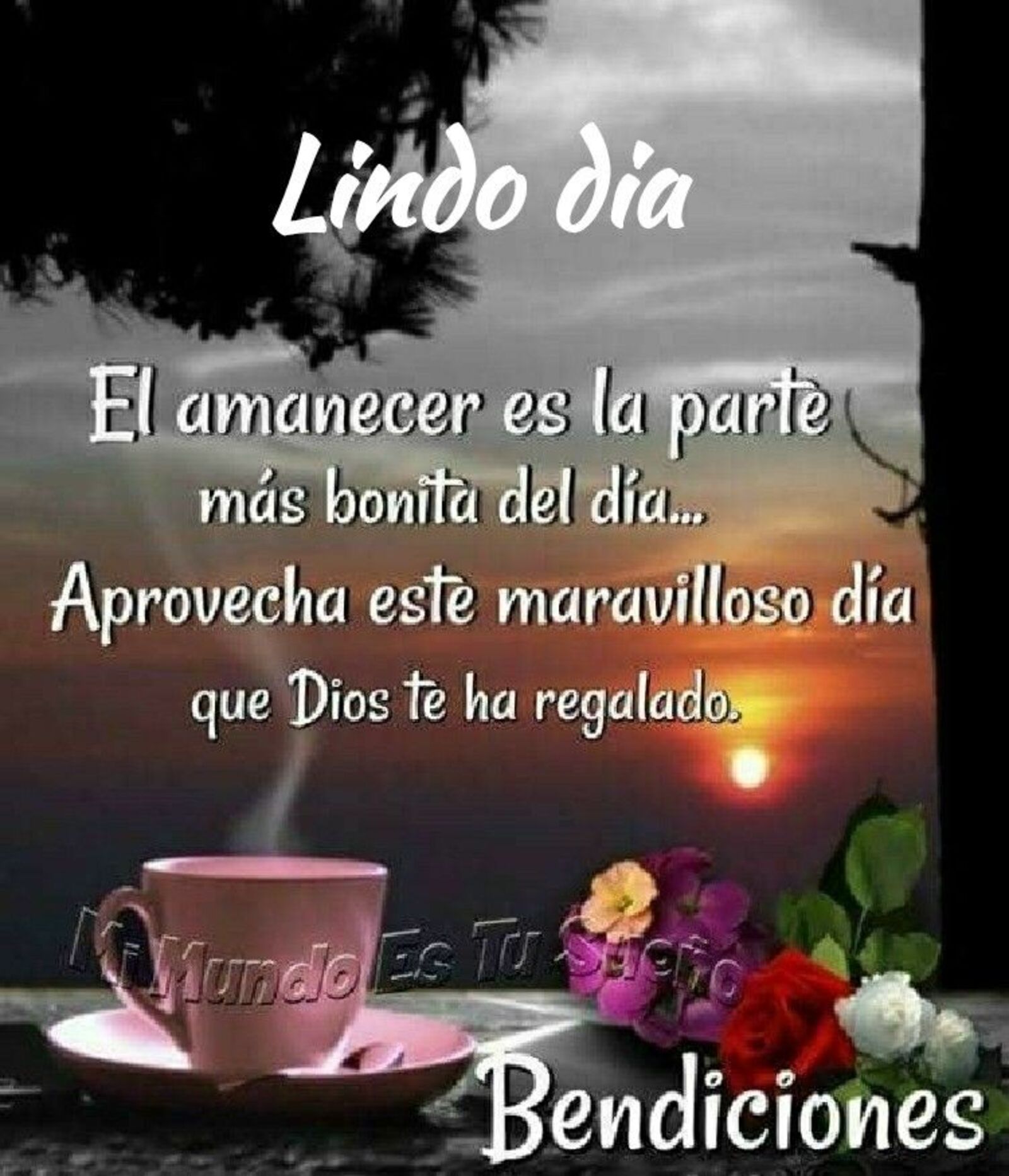 Lindo día el amanecer es la parte más bonita del día...Aprovecha este maravilloso día que Dios te ha regalado. Bendiciones