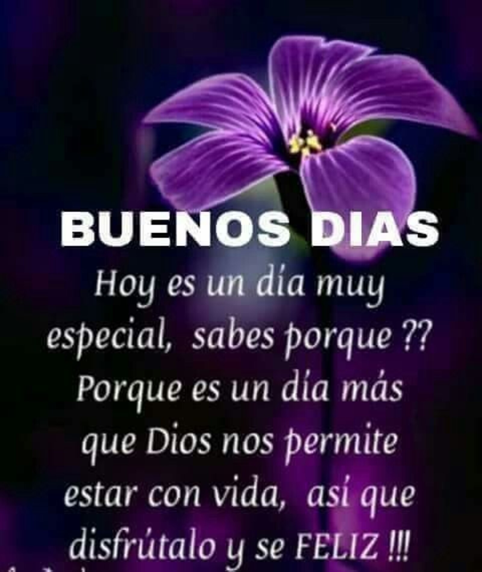 Buenos días hoy es un día muy especial, sabes porque?? Porque es un día más que Dios nos permite estar con vida, así que disfrutalo y se feliz!!! 