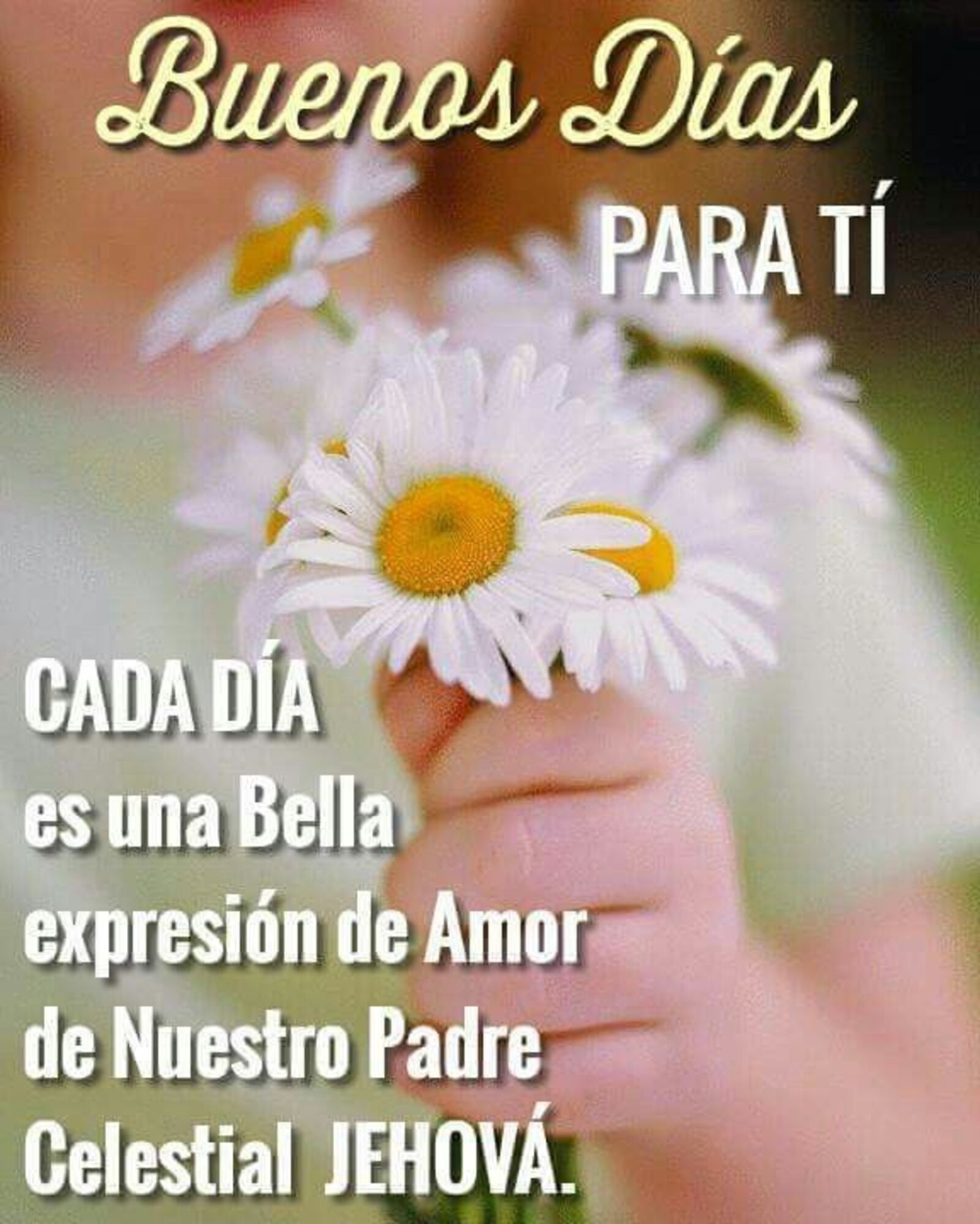 Buenos días para ti...cada día es una bella expresión de amor de nuestro Padre Celestial Jehova