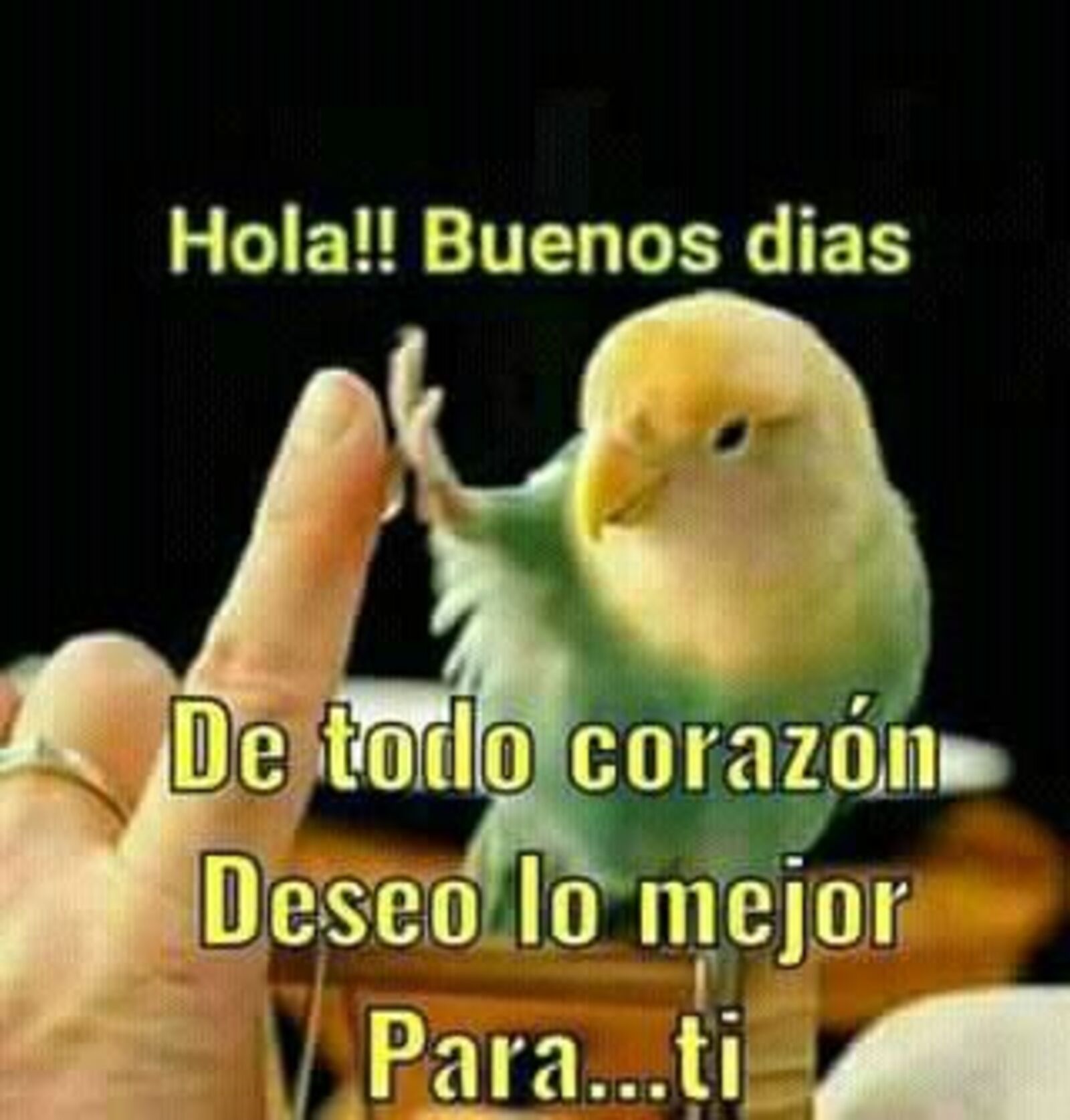 hola buenos días de todo corazón deseo lo mejor para...ti