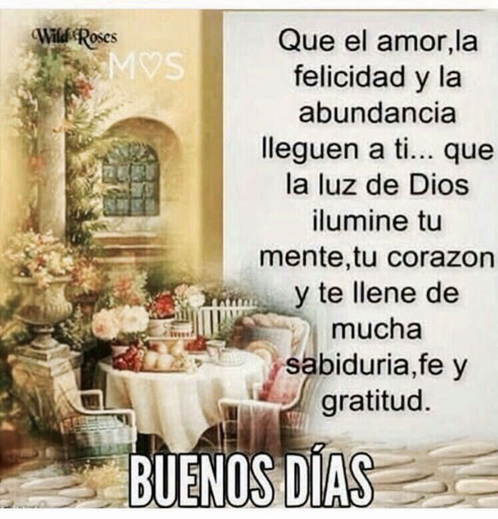 Que el amor, la felicidad y la abundancia llegue a ti...Que la luz de Dios ilumine tu mente, tu corazón y te llene de mucha sabiduria, fe y gratitud. Buenos días